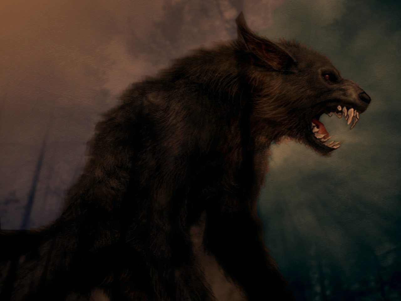 dark, werewolf, wolf
