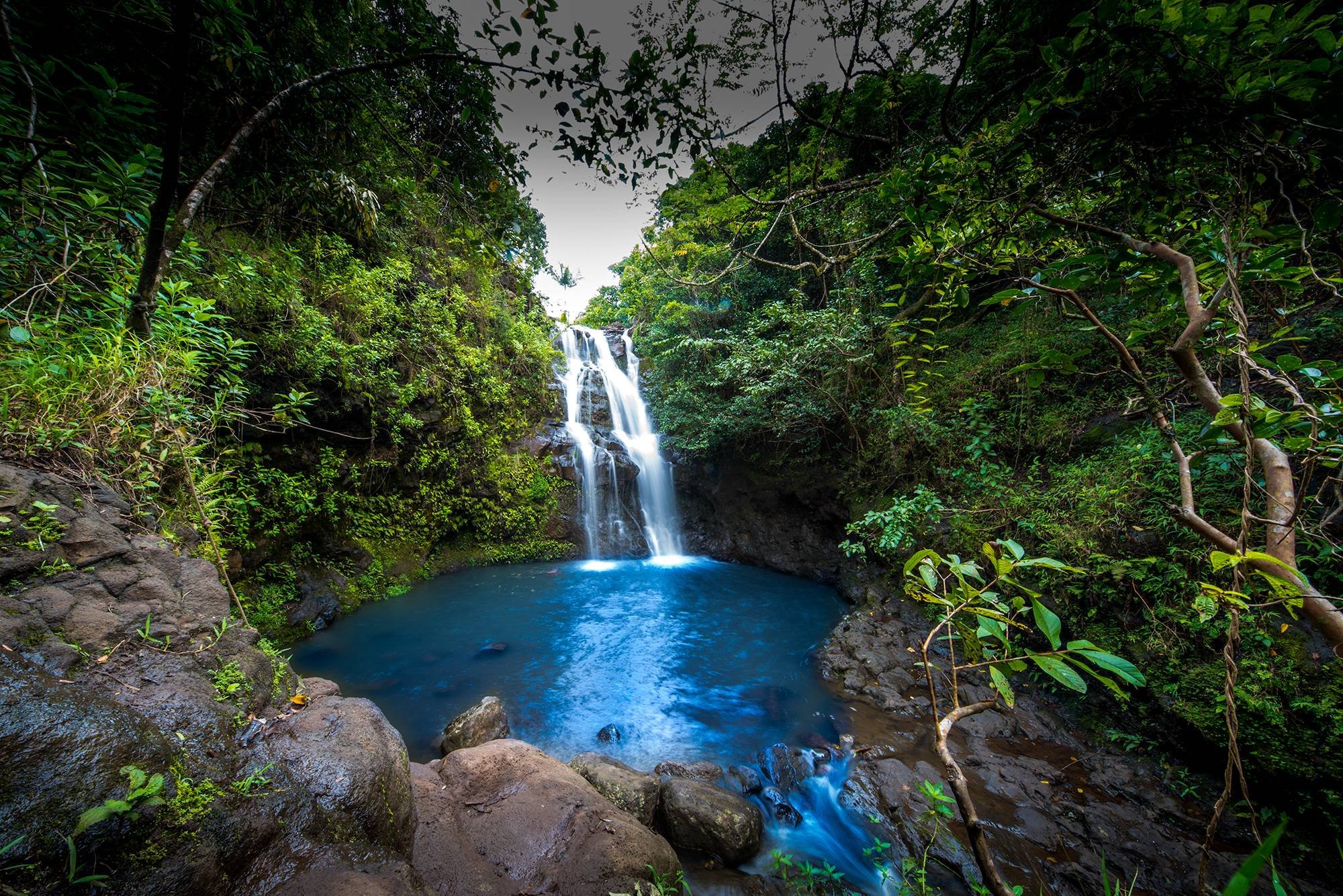 Download mobile wallpaper Waterfalls, Waterfall, Forest, Tree, Earth, Hawaii, Waimano Falls for free.
