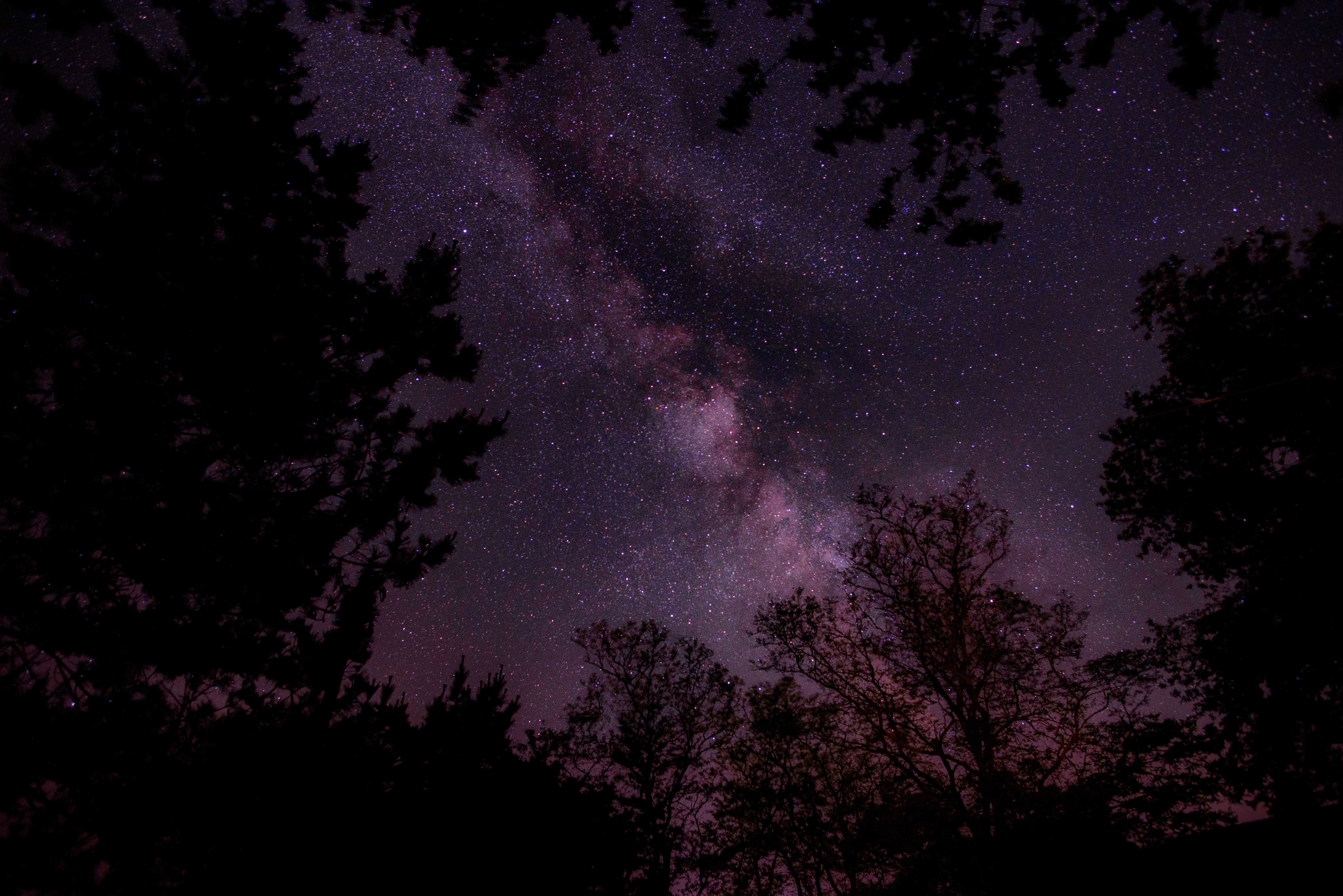 Download mobile wallpaper Sky, Stars, Starry Sky, Trees, Night, Dark for free.