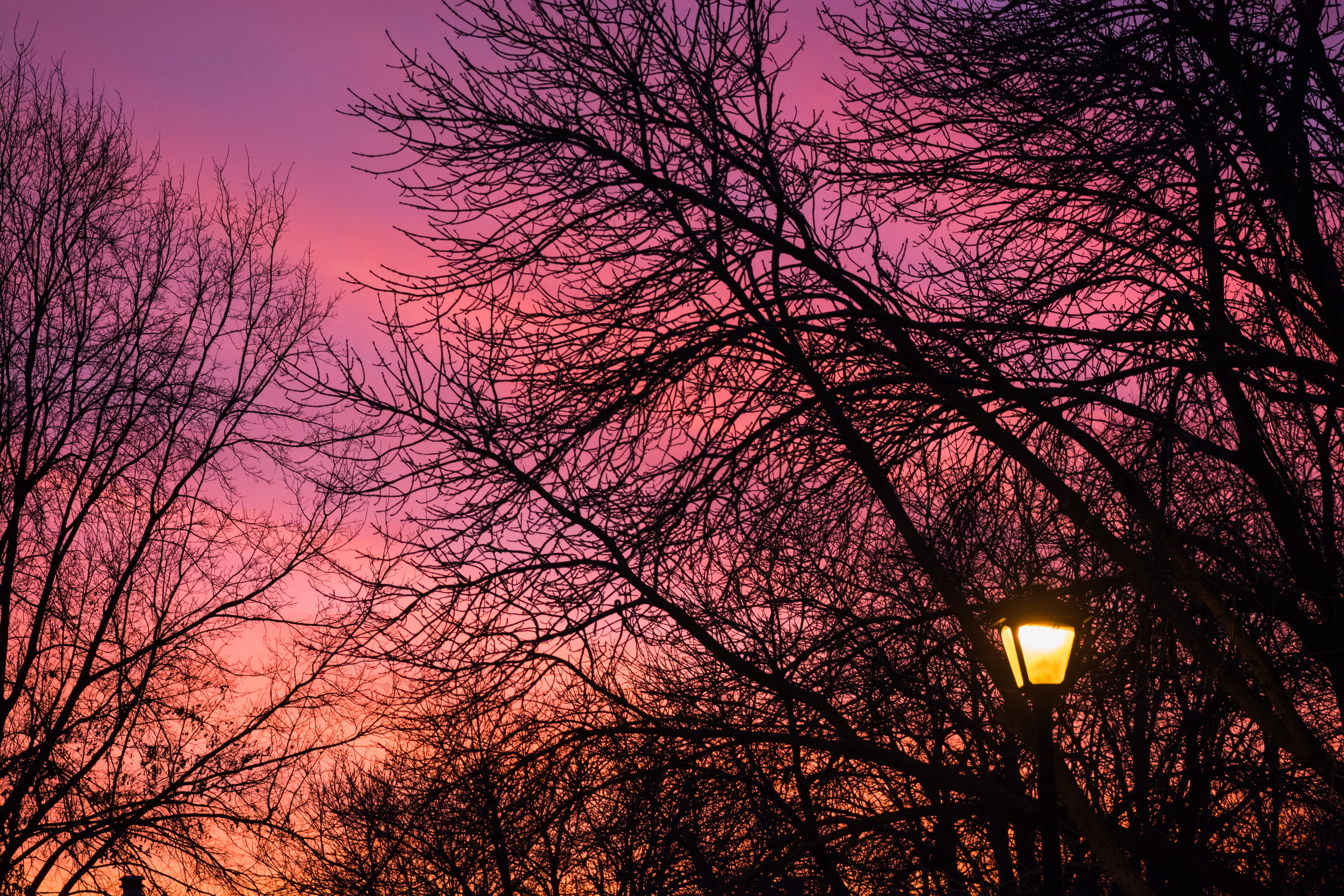lantern, lamp, trees, dark, sunset, twilight, dusk cellphone