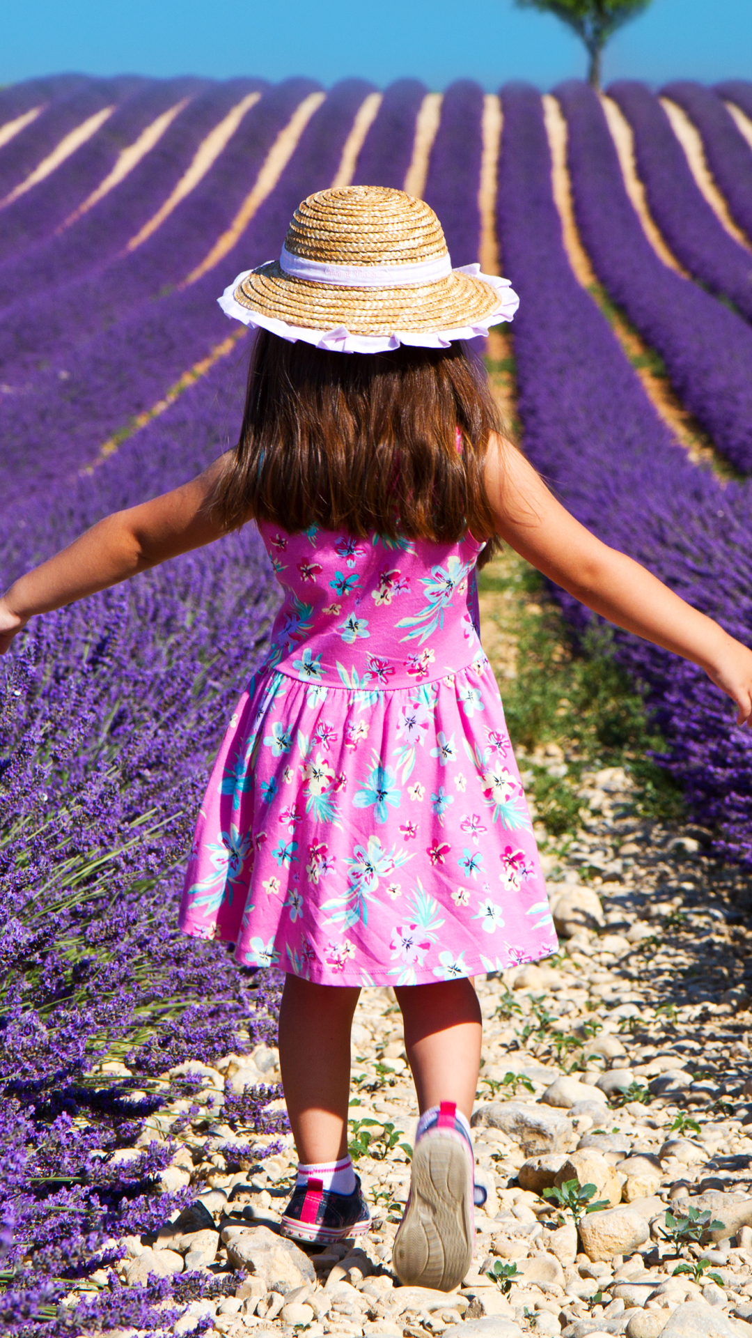 無料モバイル壁紙帽子, 子, ラベンダー, 写真撮影, 分野, 少女, 紫色の花をダウンロードします。