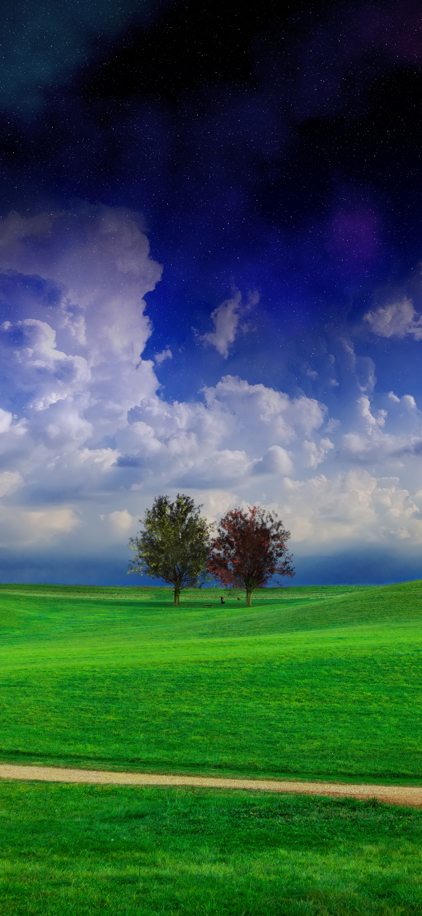 Download mobile wallpaper Landscape, Earth for free.