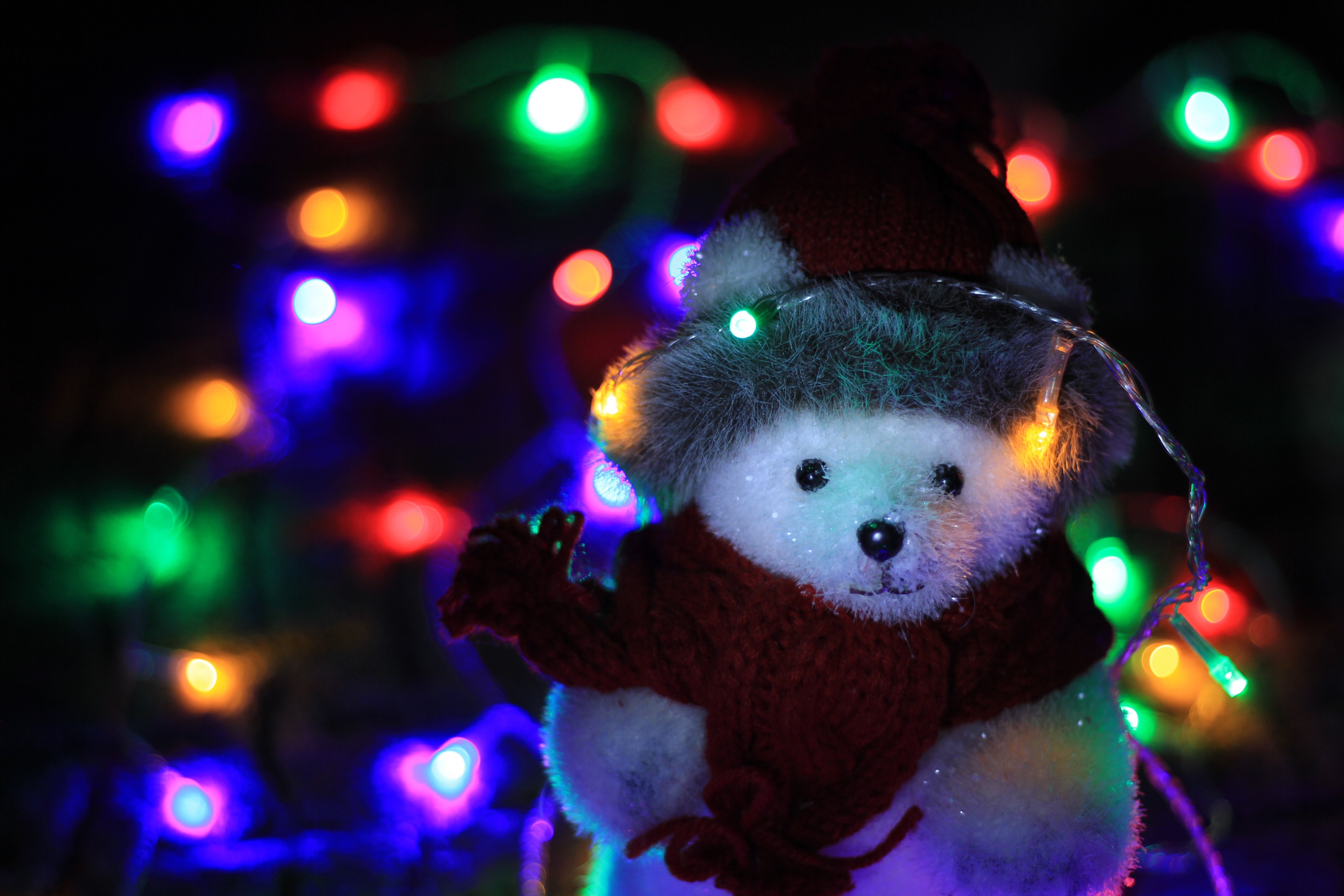 Handy-Wallpaper Feiertage, Weihnachten, Teddybär kostenlos herunterladen.