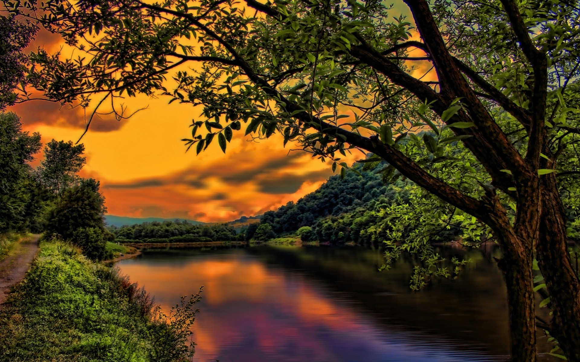 Download mobile wallpaper Sunset, Sky, Forest, Tree, Leaf, Branch, Earth, River, Orange (Color) for free.