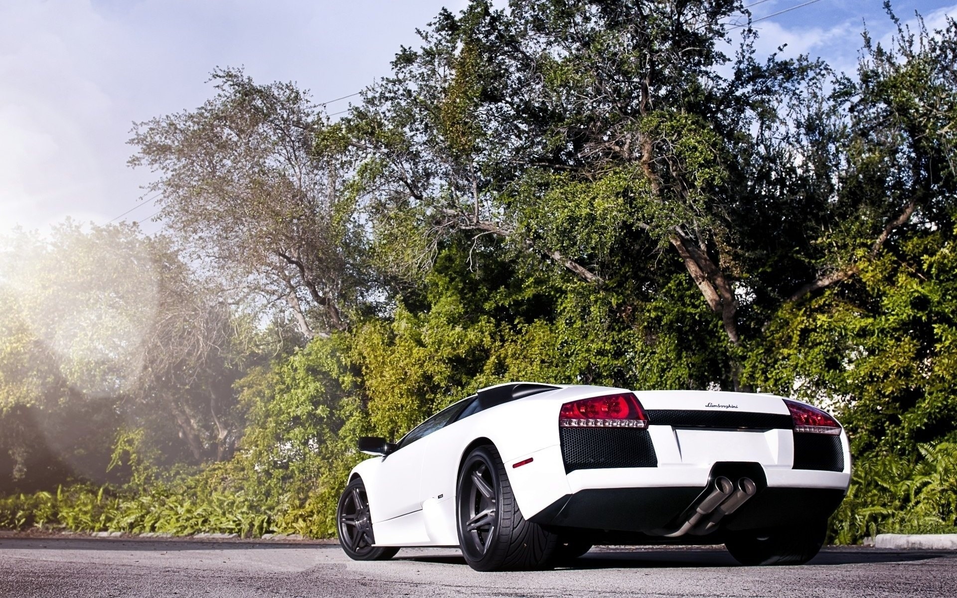 Скачати мобільні шпалери Lamborghini Murciélago, Ламборджіні, Транспортні Засоби безкоштовно.