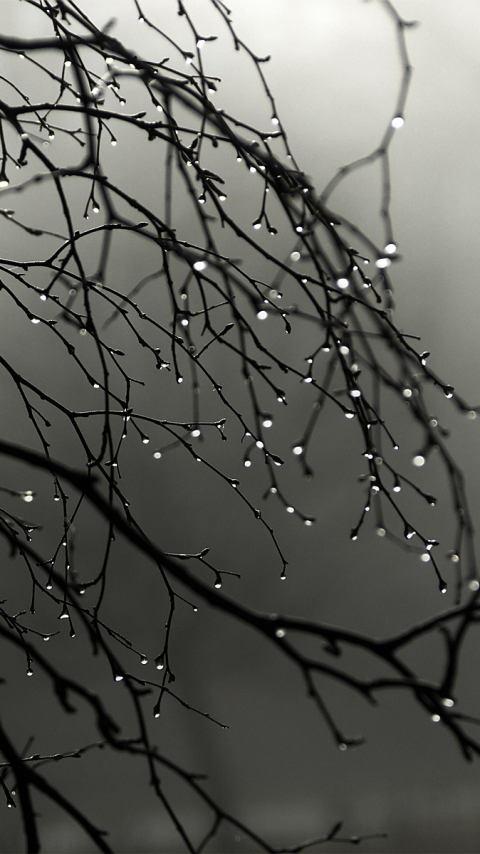 Download mobile wallpaper Earth, Grey, Water Drop for free.