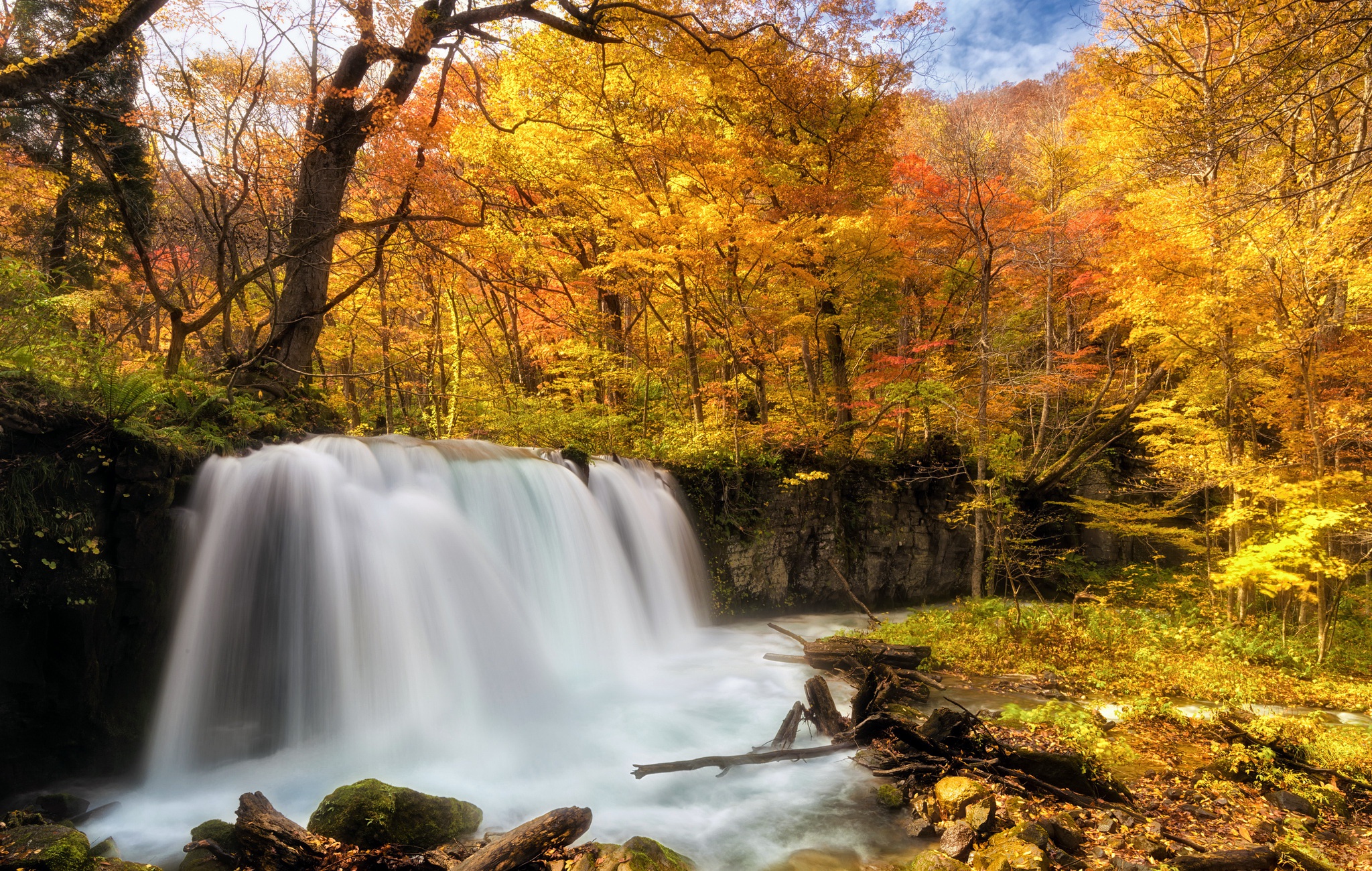 Handy-Wallpaper Natur, Herbst, Wasserfälle, Wasserfall, Wald, Schaum, Erde/natur kostenlos herunterladen.