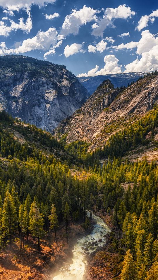 Baixar papel de parede para celular de Rio, Montanha, Floresta, Árvore, Terra, Terra/natureza gratuito.