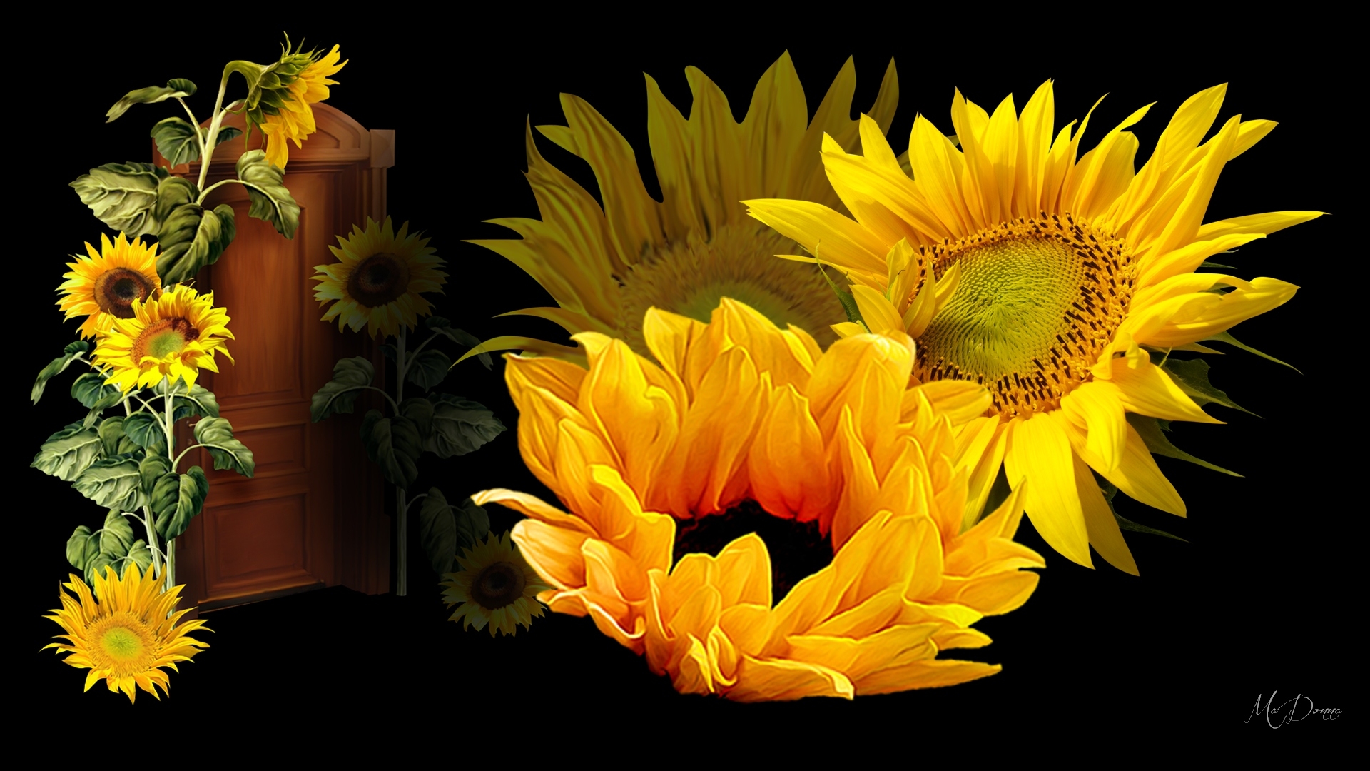 Скачать обои бесплатно Подсолнухи, Цветок, Желтый Цветок, Художественные, Флауэрсы картинка на рабочий стол ПК
