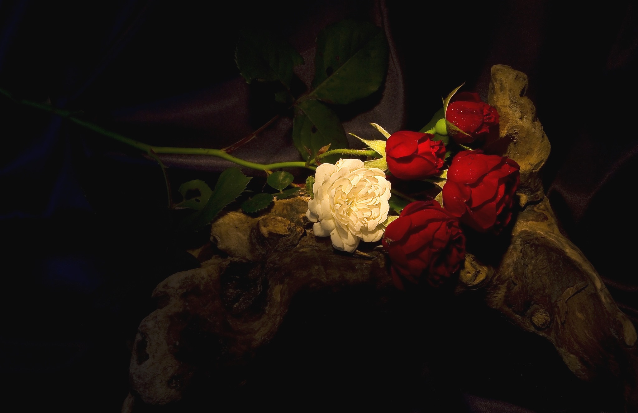 PCデスクトップにフラワーズ, 花, 薔薇, 地球, 赤いバラ画像を無料でダウンロード