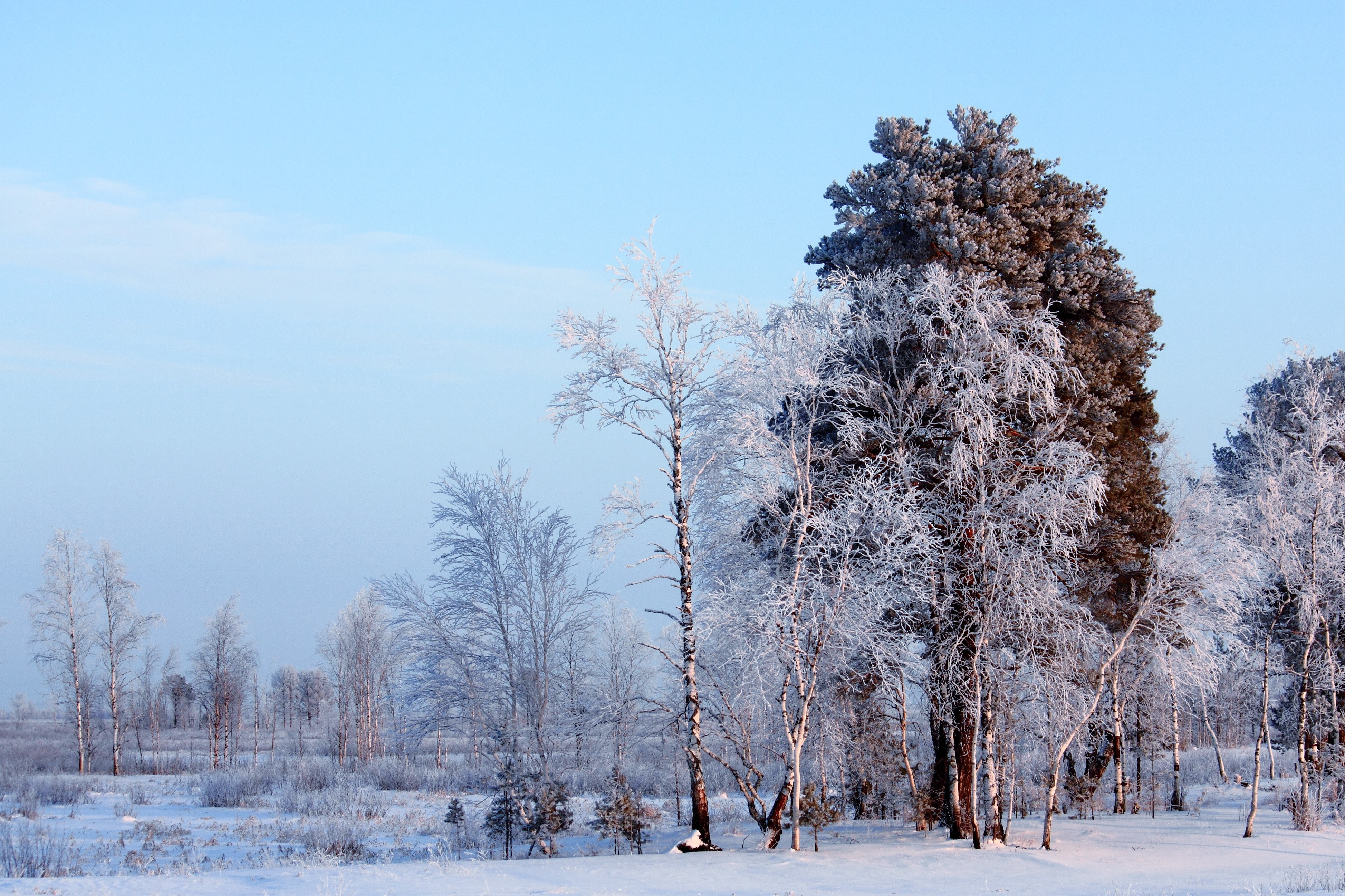 Téléchargez des papiers peints mobile Hiver, Terre/nature gratuitement.