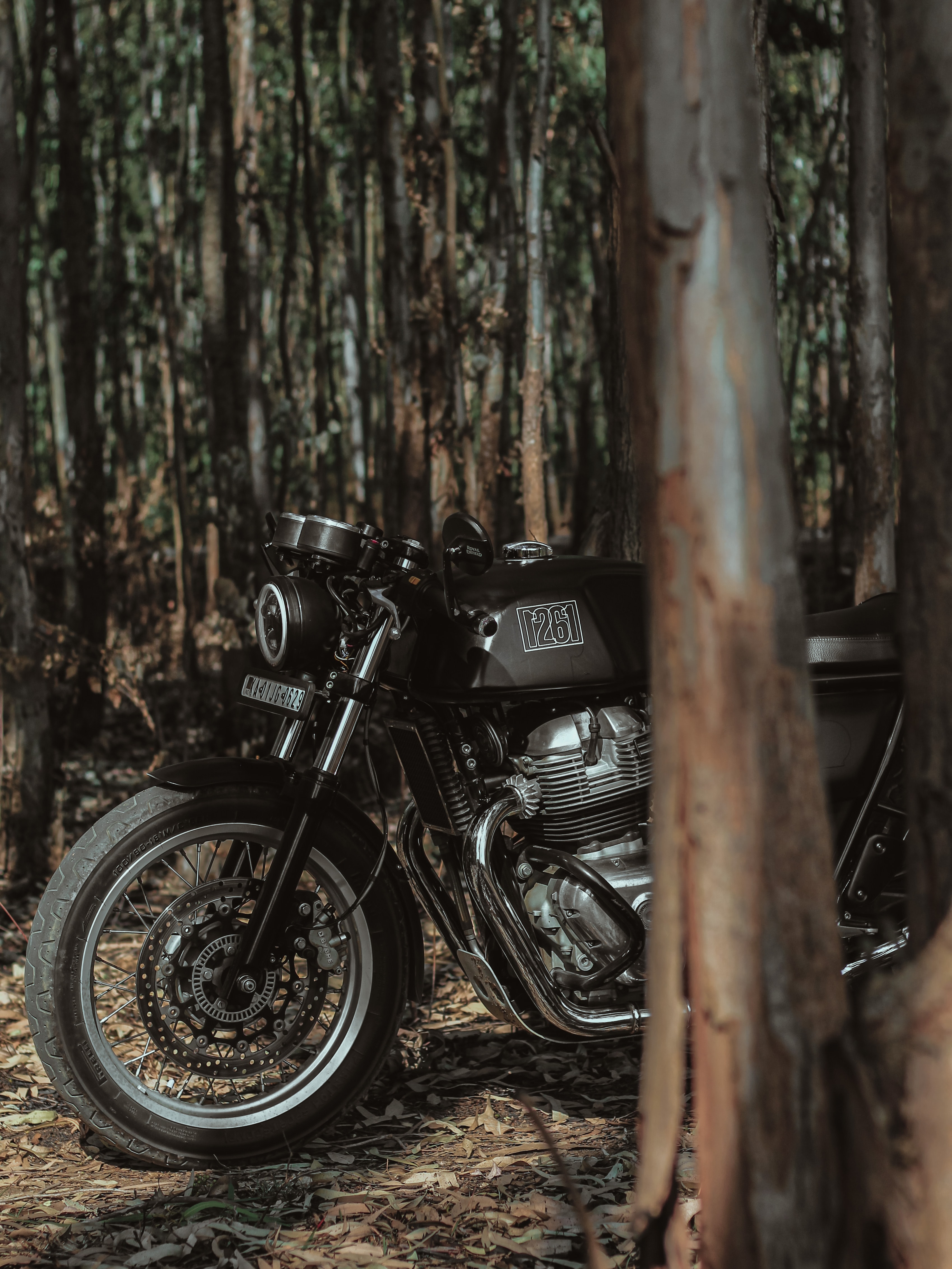 59738 baixar papel de parede motocicletas, preto, floresta, o preto, motocicleta, bicicleta, royal enfield, enfield real - protetores de tela e imagens gratuitamente