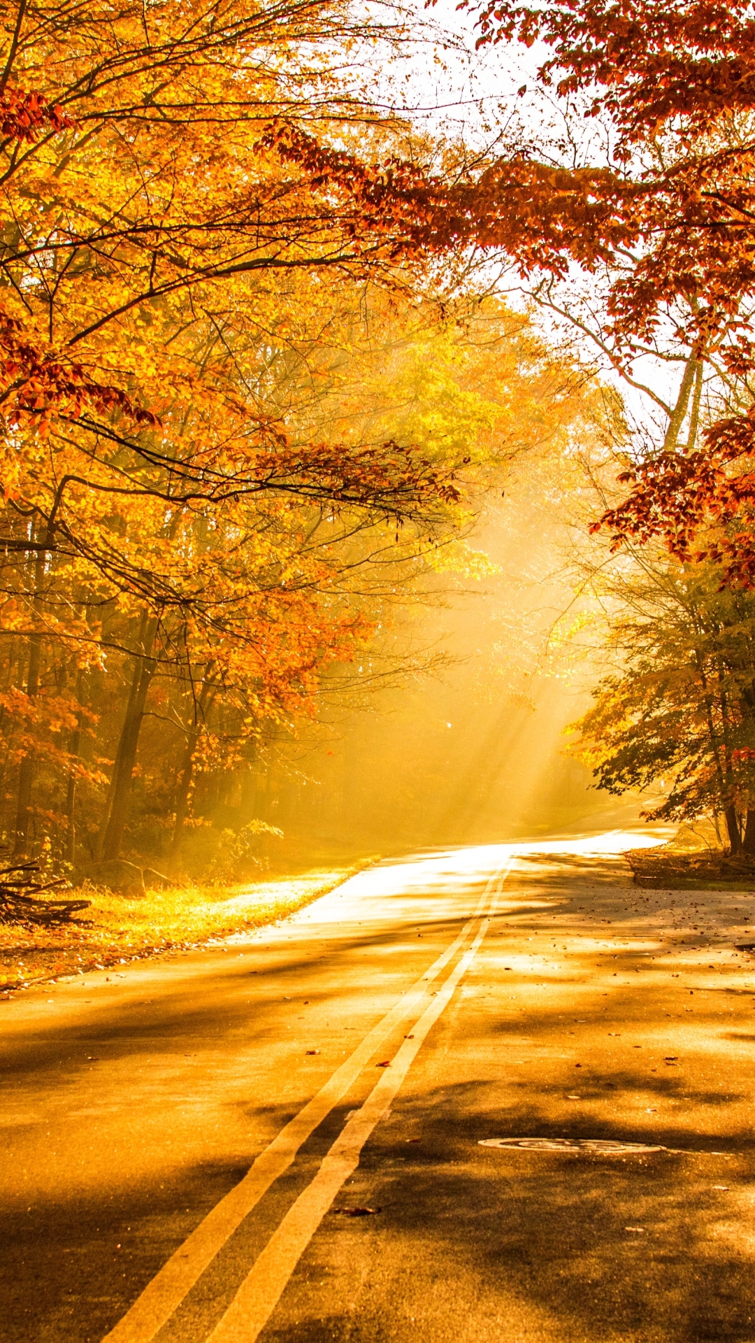 Baixar papel de parede para celular de Outono, Estrada, Cair, Raio De Sol, Feito Pelo Homem, Raio Solar, Brilho Do Sol gratuito.