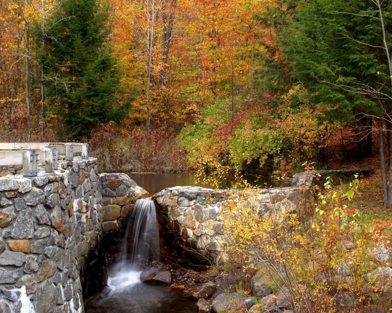 Descarga gratis la imagen Otoño, Fotografía en el escritorio de tu PC