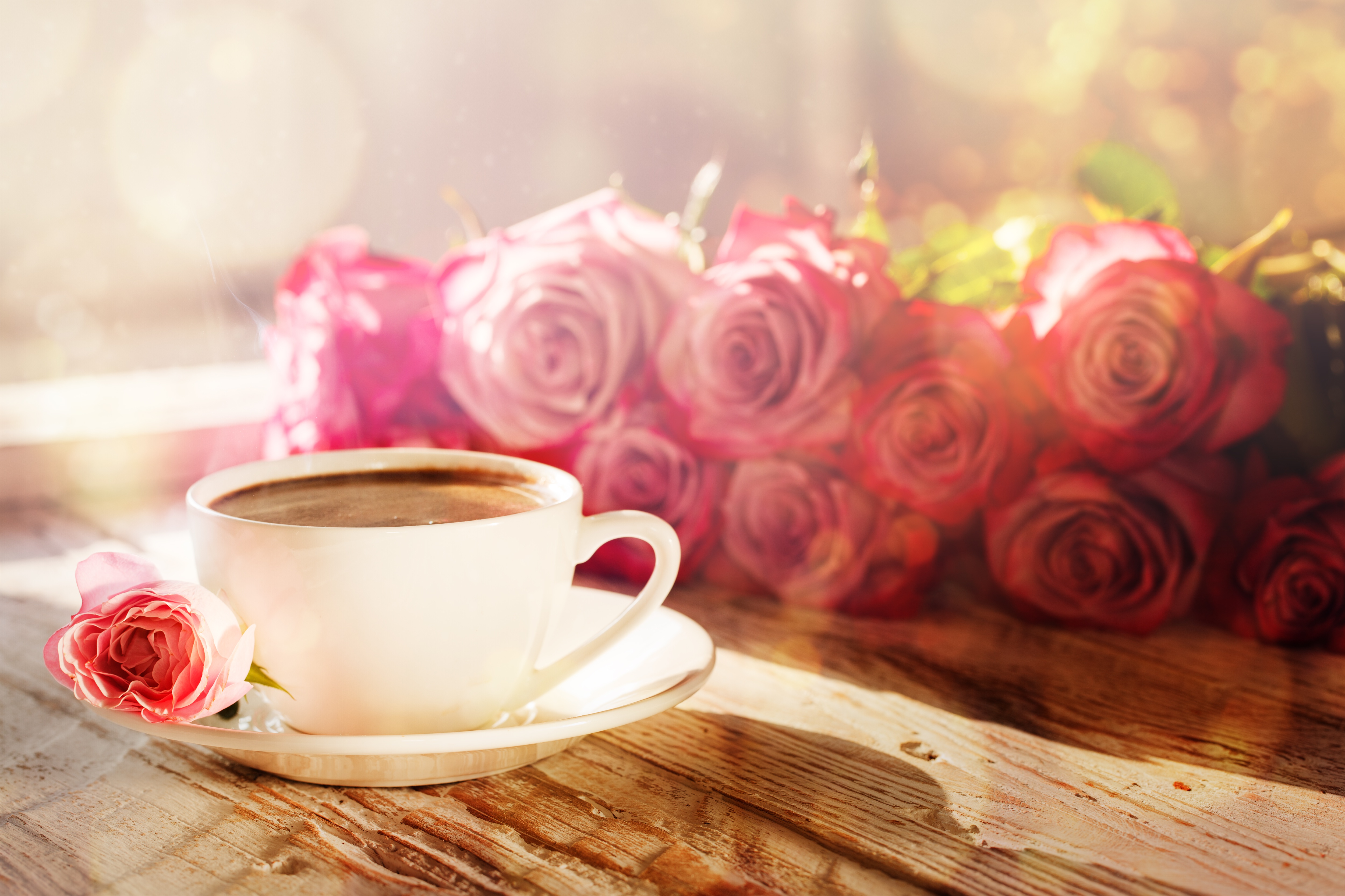 Free download wallpaper Food, Coffee, Still Life, Flower, Rose, Cup on your PC desktop