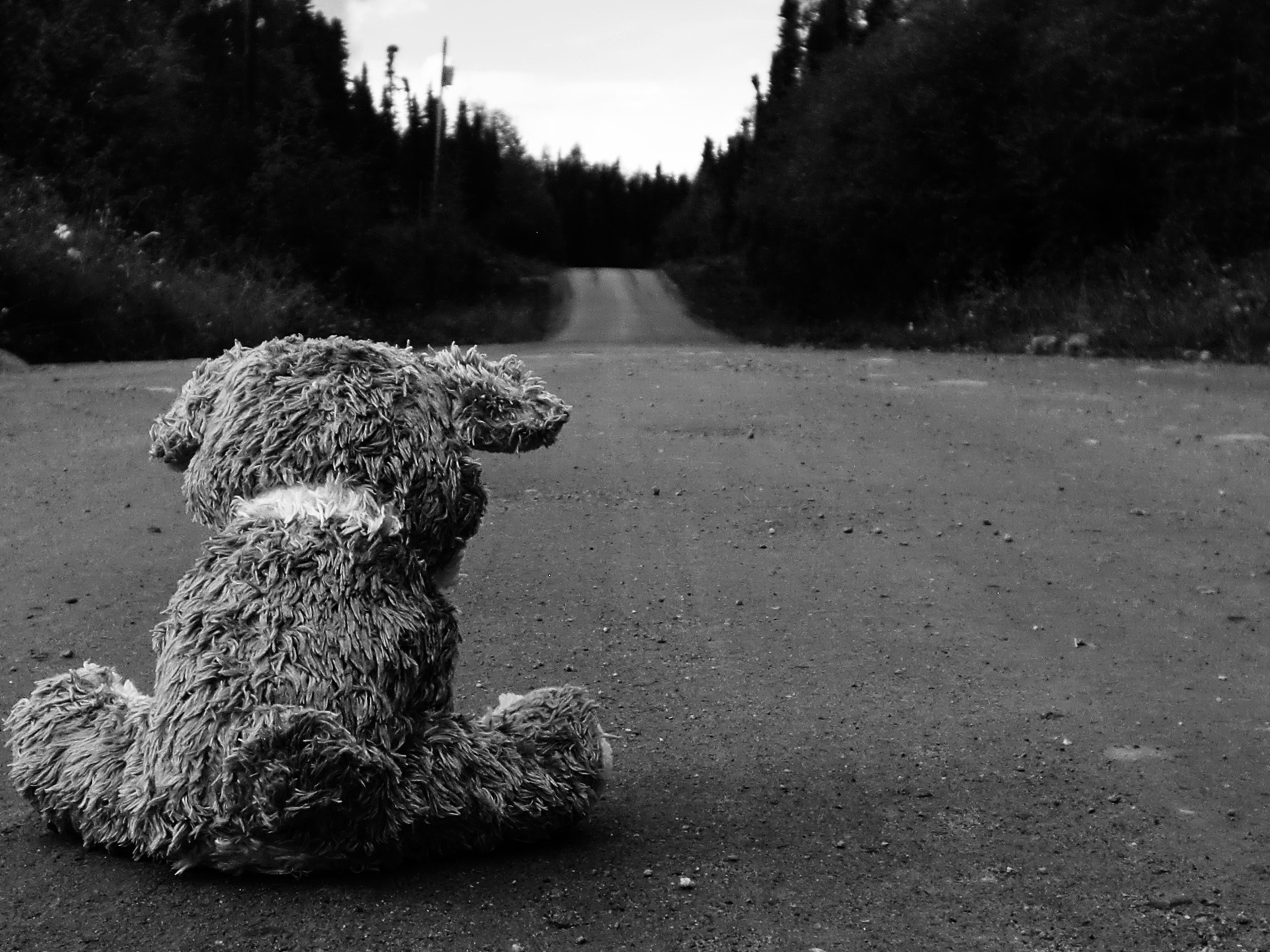 234097 baixar imagens fotografia, preto & branco, paisagem, estrada, triste, urso teddy - papéis de parede e protetores de tela gratuitamente
