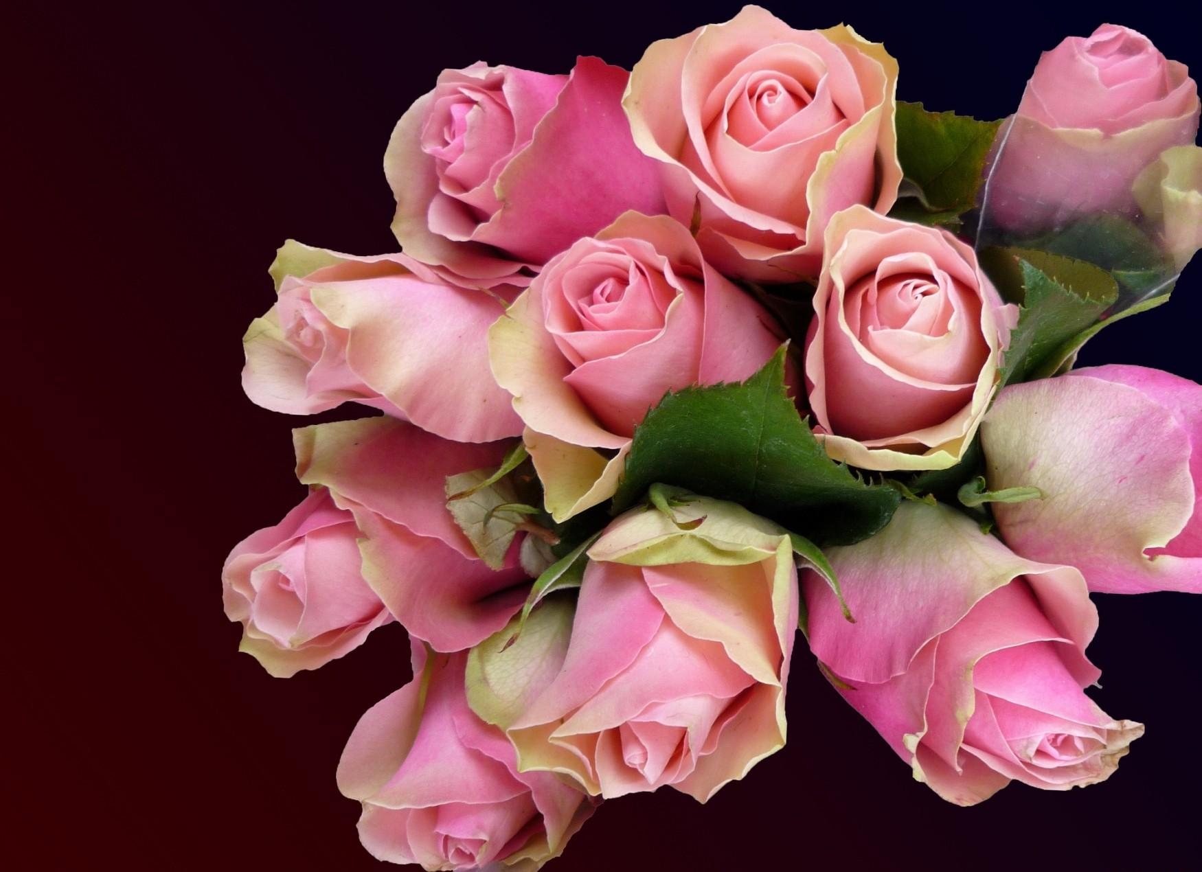 63596 скачать обои розы, цветы, бутоны, розовые, букет - заставки и картинки бесплатно