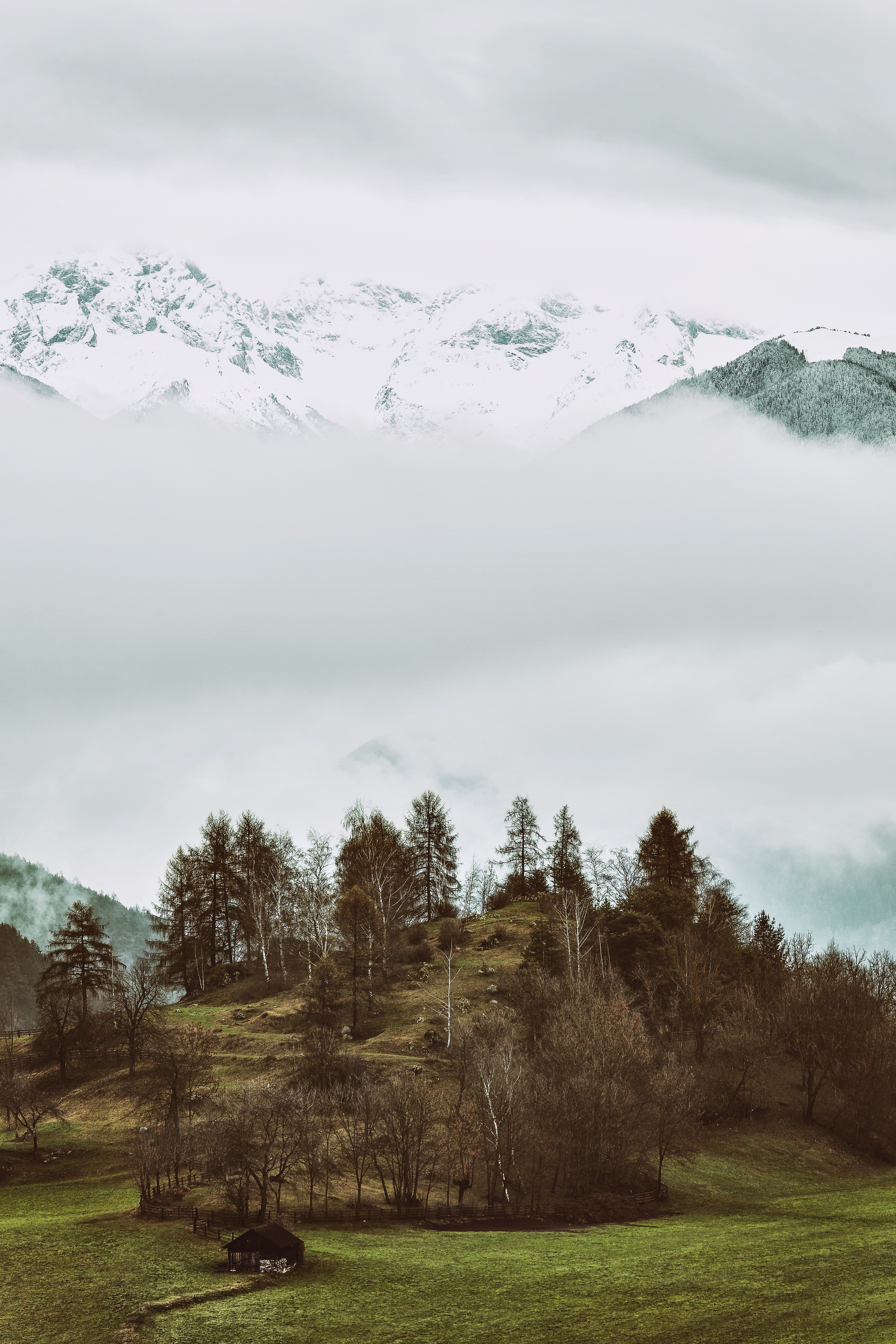 156529 descargar fondo de pantalla naturaleza, árboles, montañas, niebla, alivio, montañoso, montuoso: protectores de pantalla e imágenes gratis