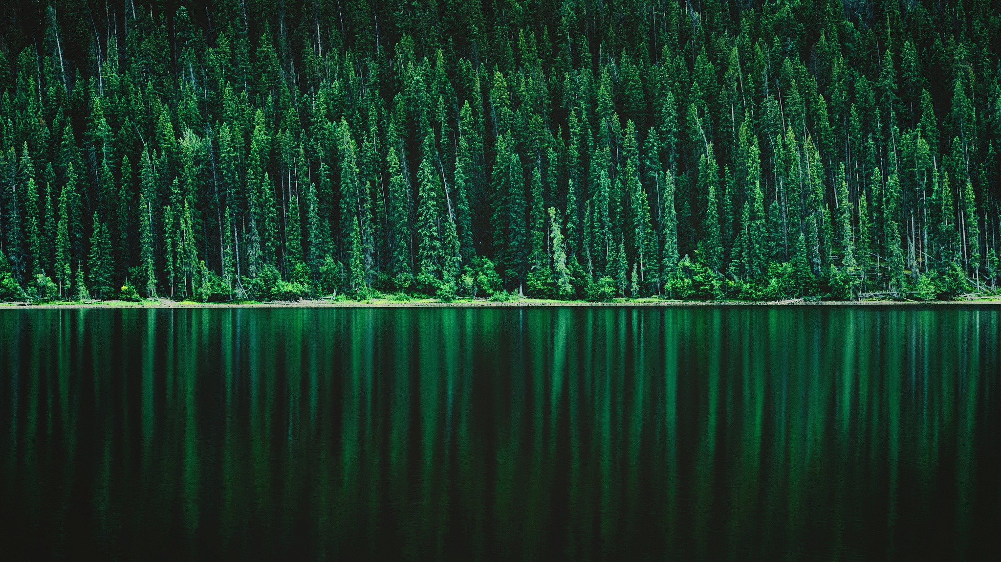 Download mobile wallpaper Nature, Lake, Reflection, Forest, Earth, Greenery for free.