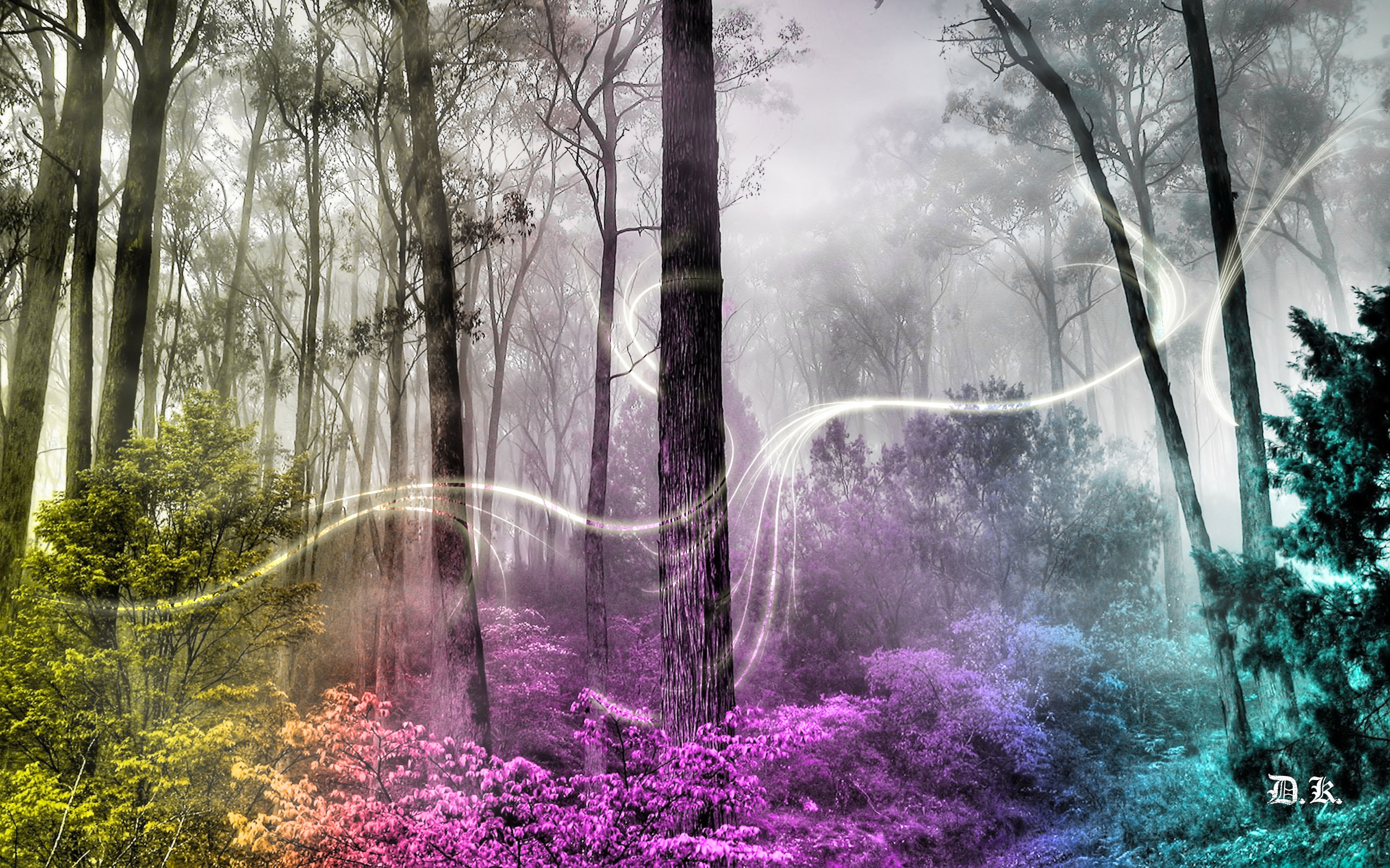 Free download wallpaper Fantasy, Forest on your PC desktop