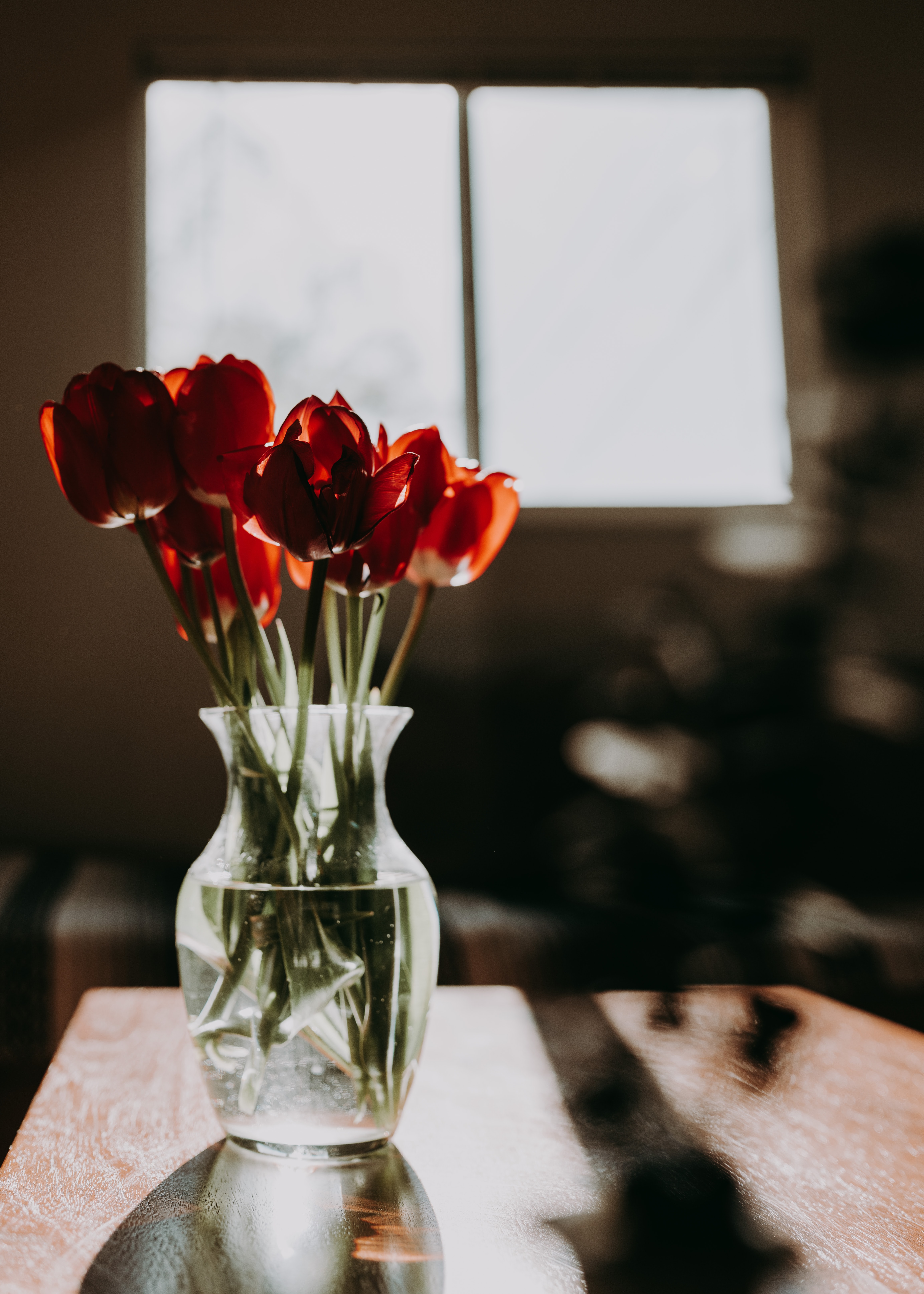 Free download wallpaper Flowers, Tulips, Bouquet on your PC desktop