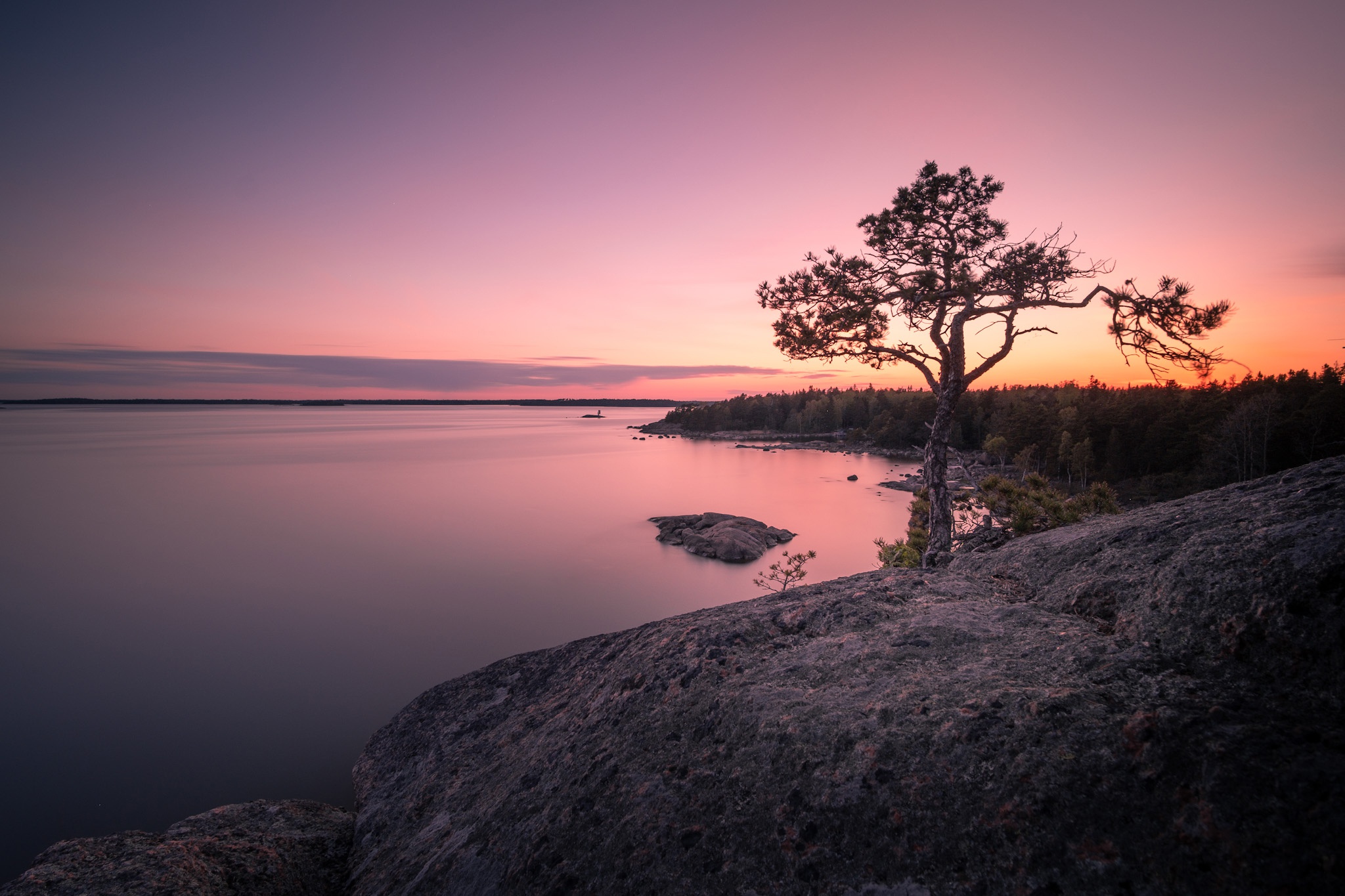 Laden Sie das Kiefer, See, Baum, Sonnenuntergang, Erde/natur-Bild kostenlos auf Ihren PC-Desktop herunter