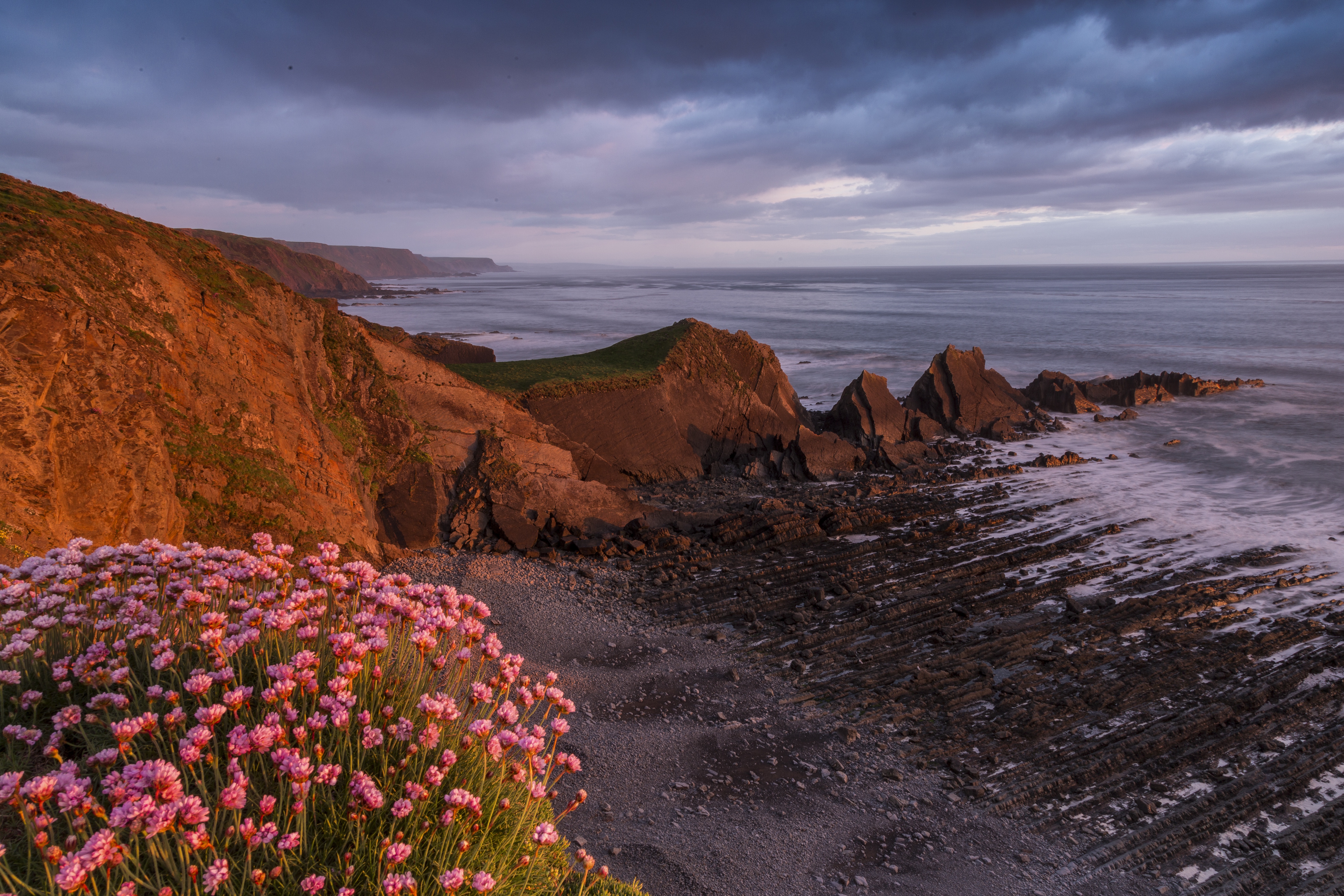 Download mobile wallpaper Nature, Beach, Horizon, Earth, Cloud, Coastline, Pink Flower for free.