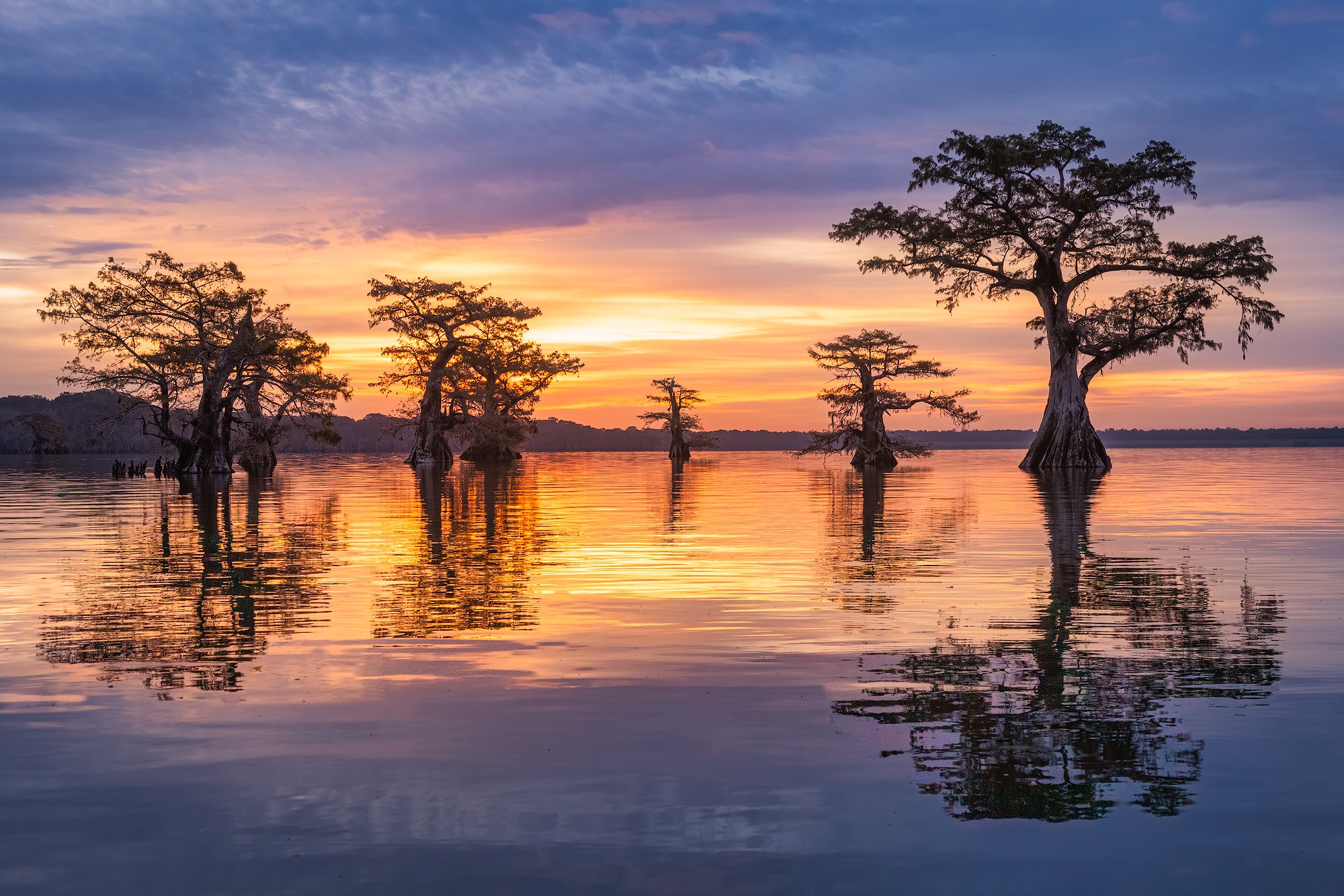 Descarga gratis la imagen Naturaleza, Amanecer, Árbol, Tierra/naturaleza, Reflejo en el escritorio de tu PC