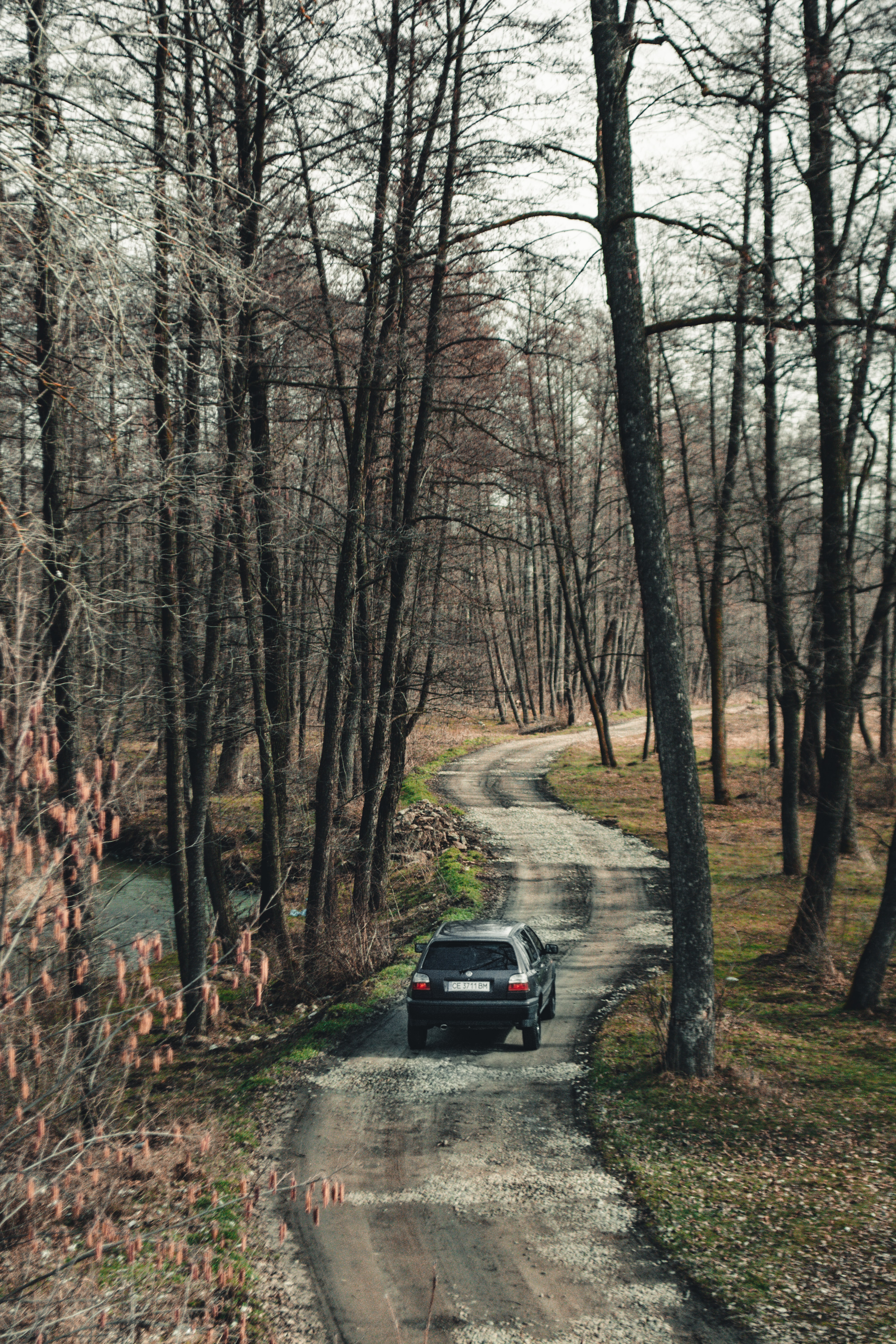 Free download wallpaper Forest, Suv, Road, Volkswagen, Cars, Car on your PC desktop