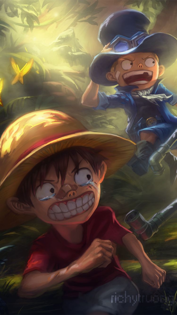 Download mobile wallpaper Anime, Portgas D Ace, One Piece, Monkey D Luffy, Straw Hat, Sabo (One Piece) for free.
