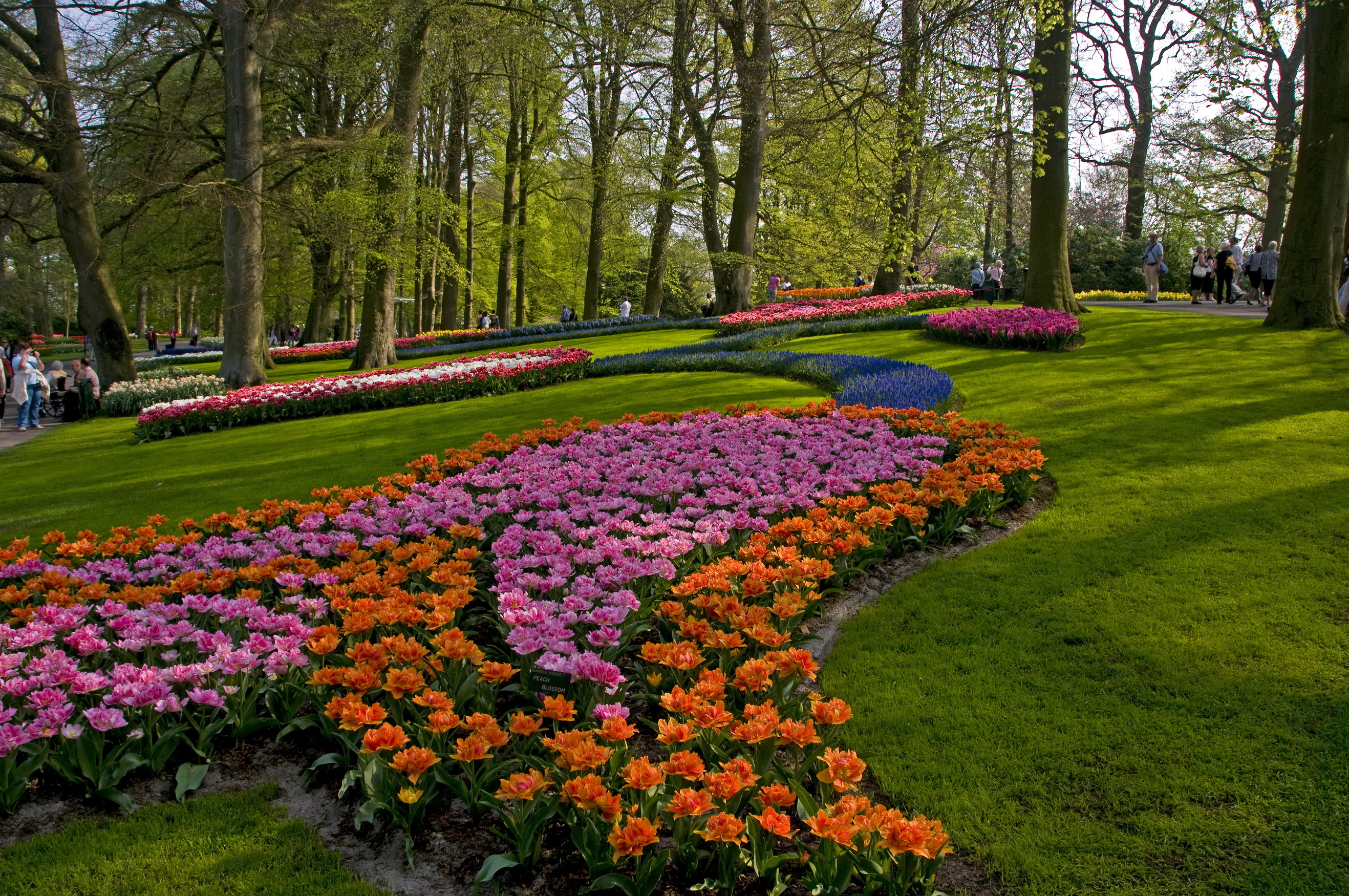 Descarga gratuita de fondo de pantalla para móvil de Jardín, Hecho Por El Hombre.