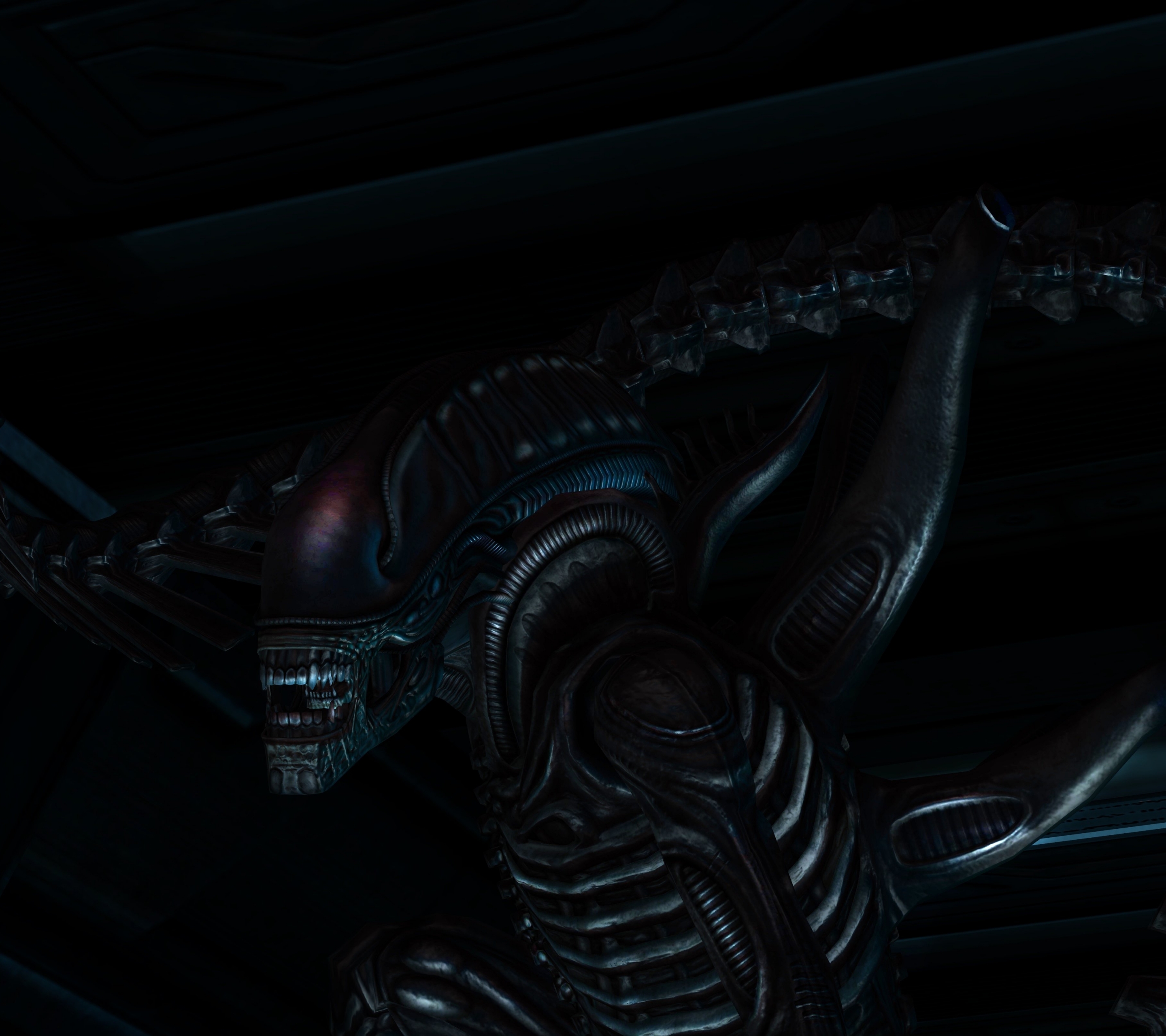 Free download wallpaper Alien, Sci Fi, Xenomorph, Movie on your PC desktop