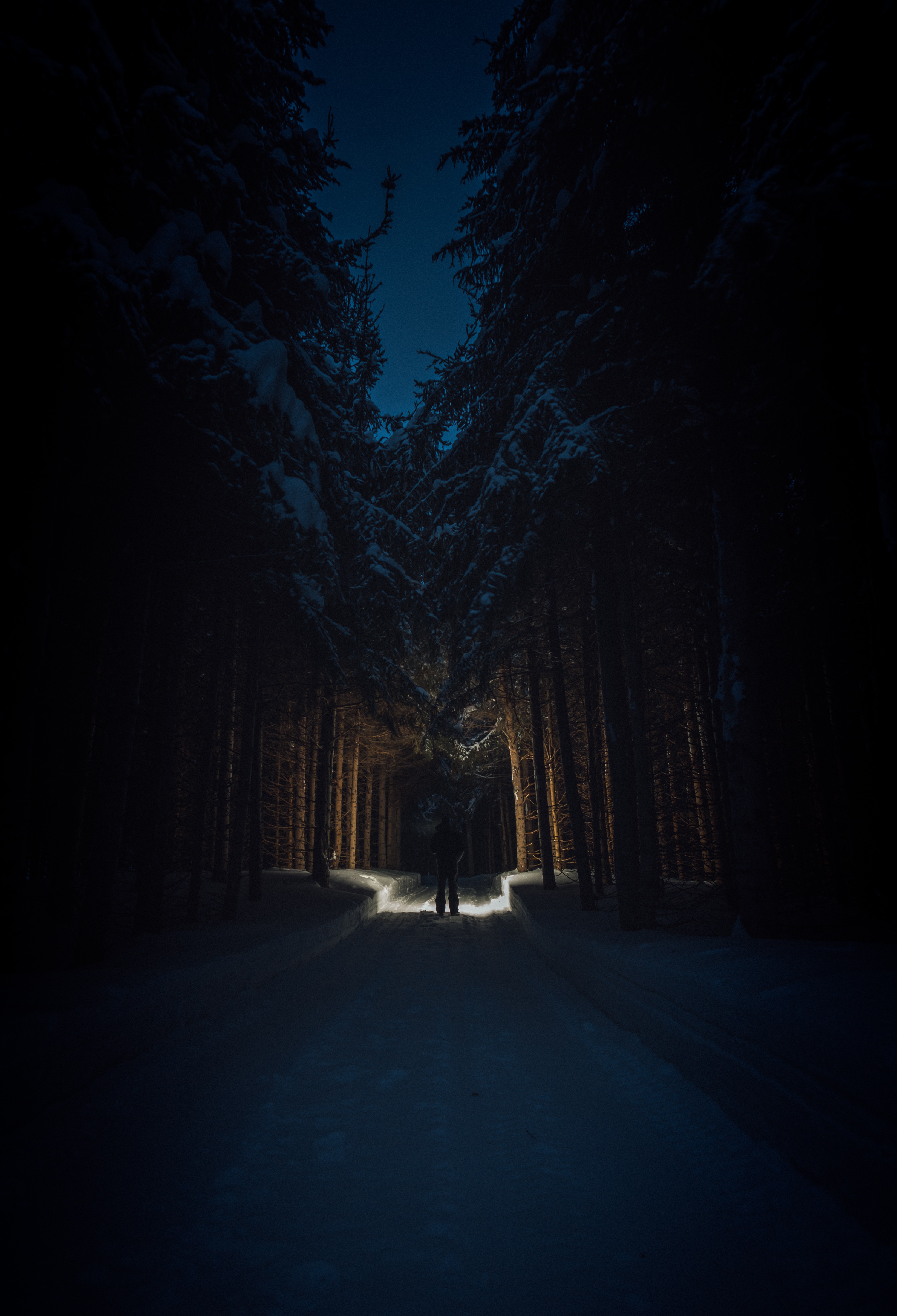 road, dark, trees, snow, silhouette, forest
