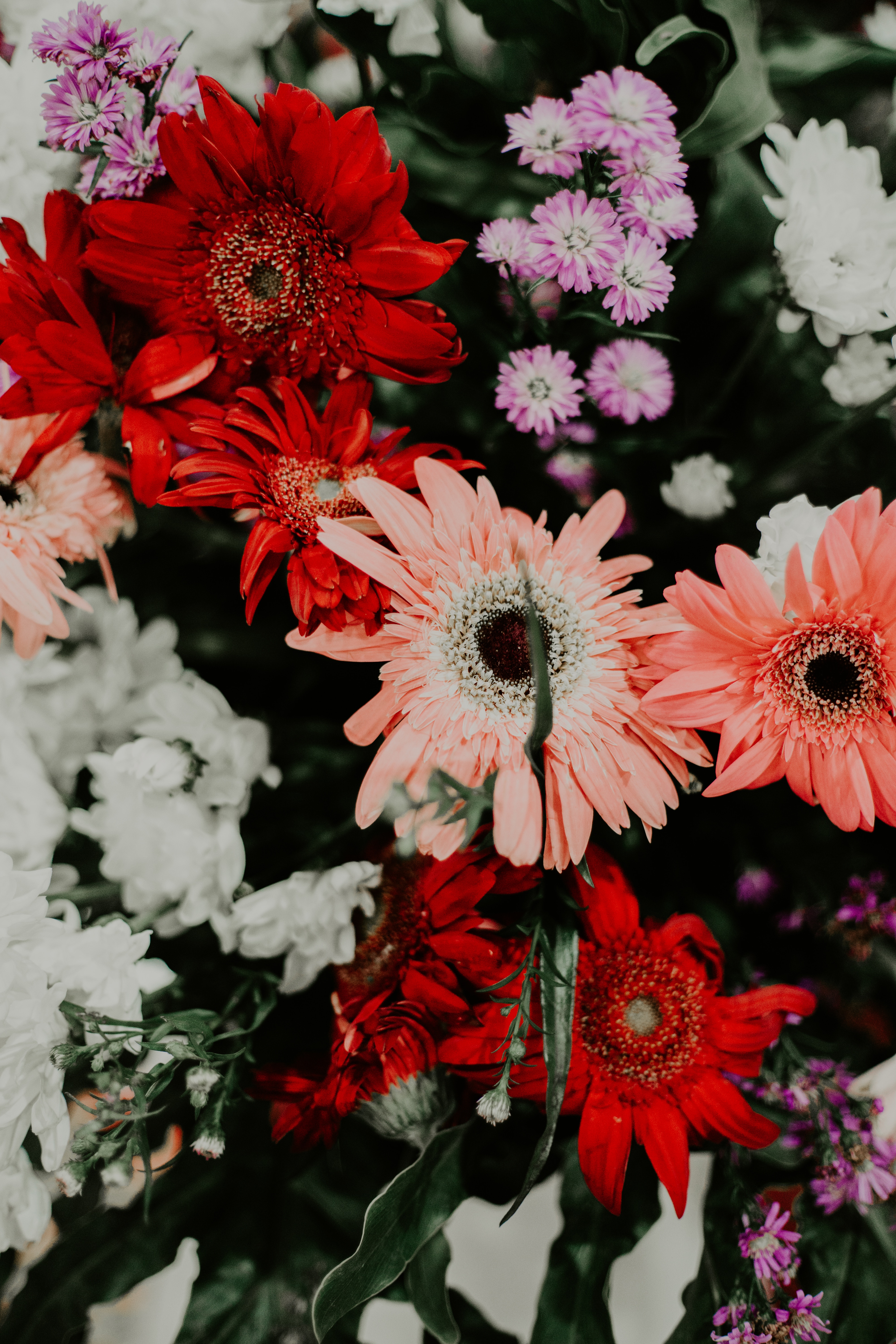 Free download wallpaper Flowers, Multicolored, Motley, Bouquet, Flowering, Bloom, Plants on your PC desktop