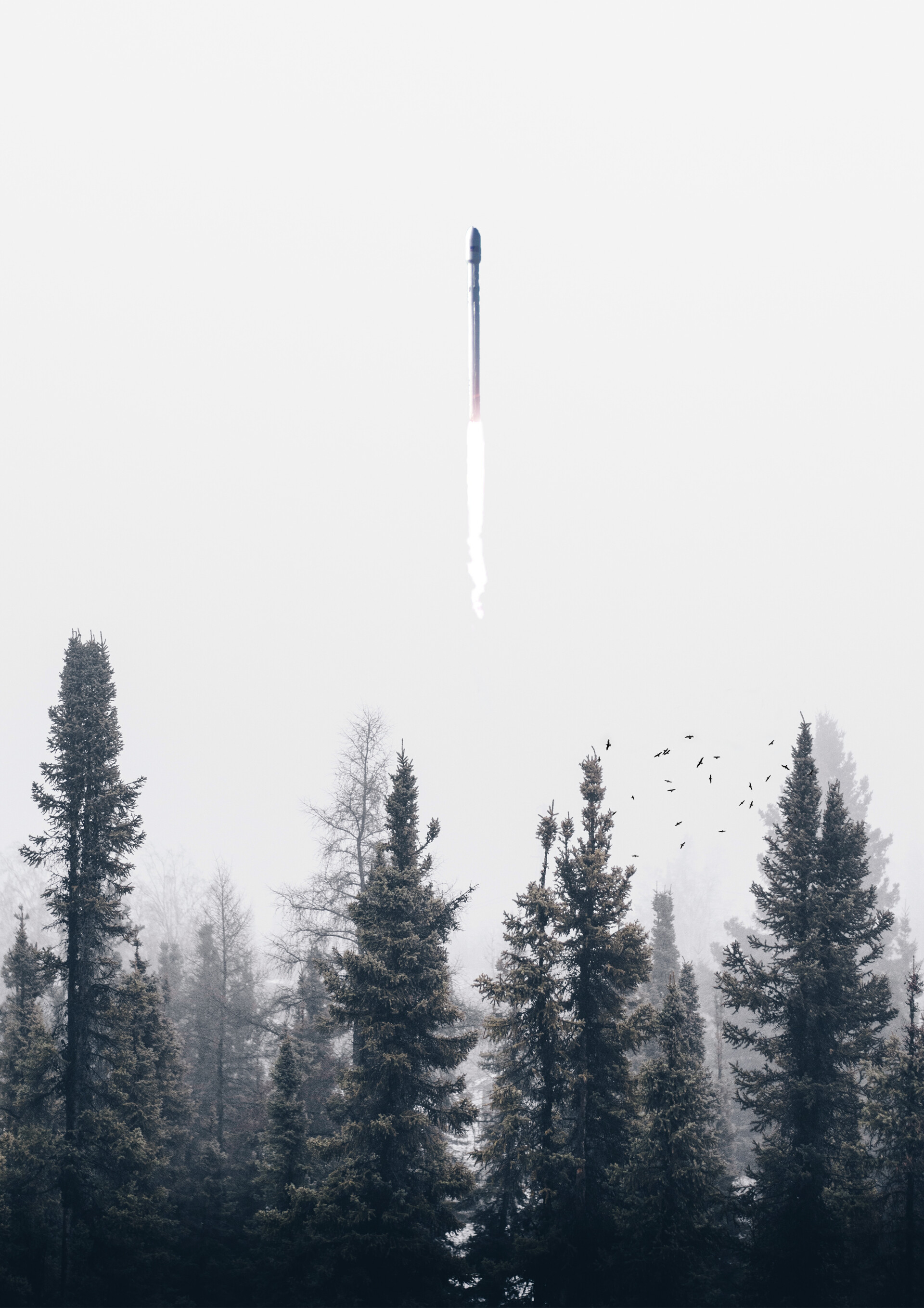 Скачать обои бесплатно Туман, Деревья, Разное, Дым, Ракета картинка на рабочий стол ПК