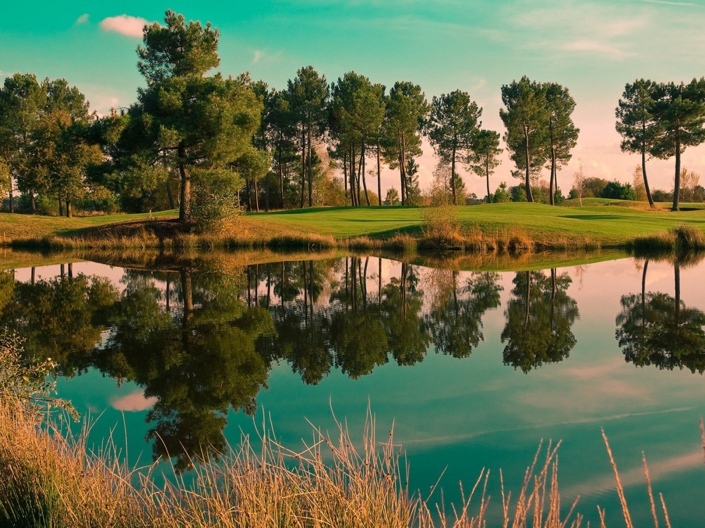 nature, landscape, trees, lakes desktop HD wallpaper