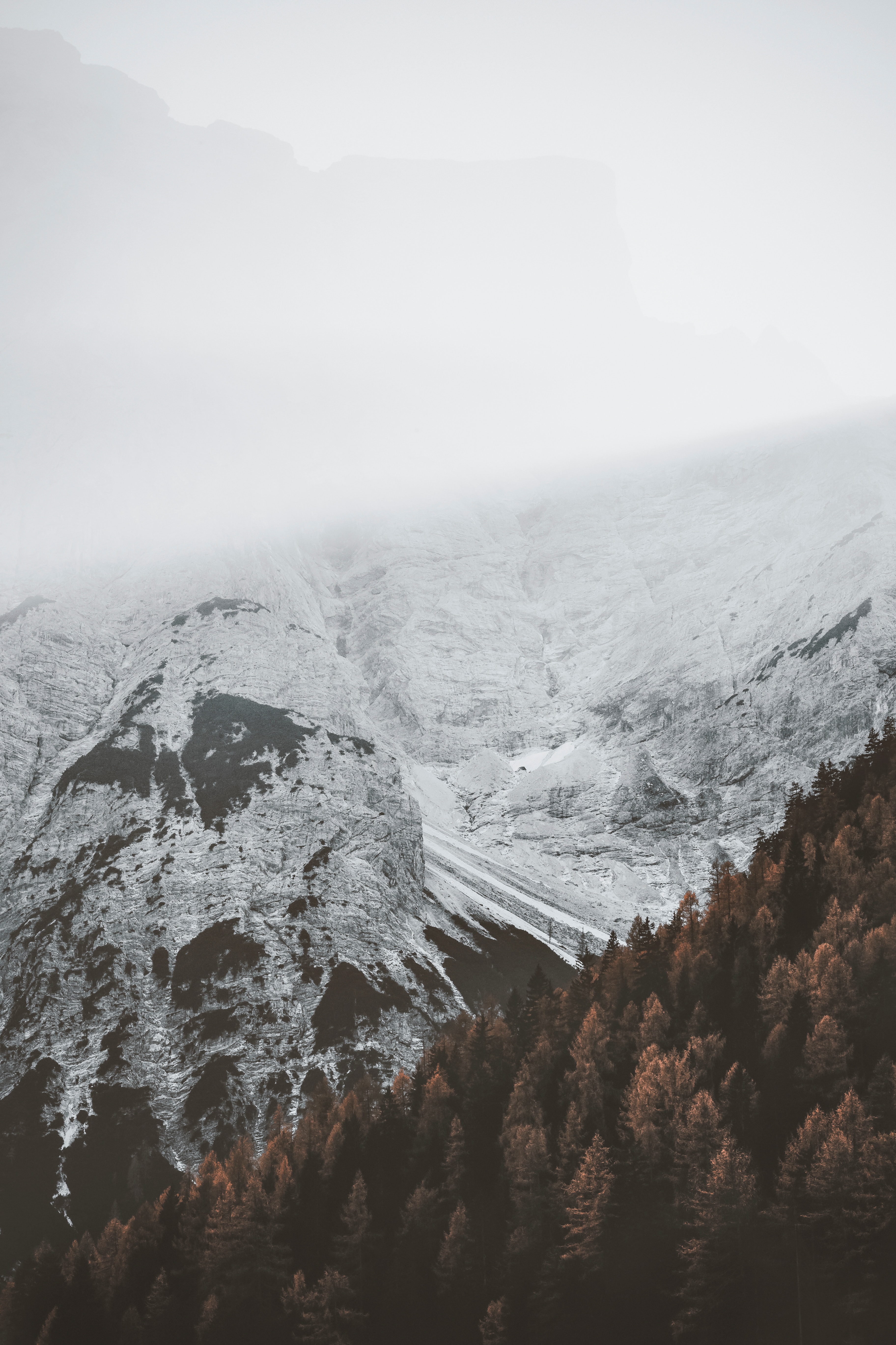 Handy-Wallpaper Natur, Mountains, Schnee, Nebel, Wald kostenlos herunterladen.
