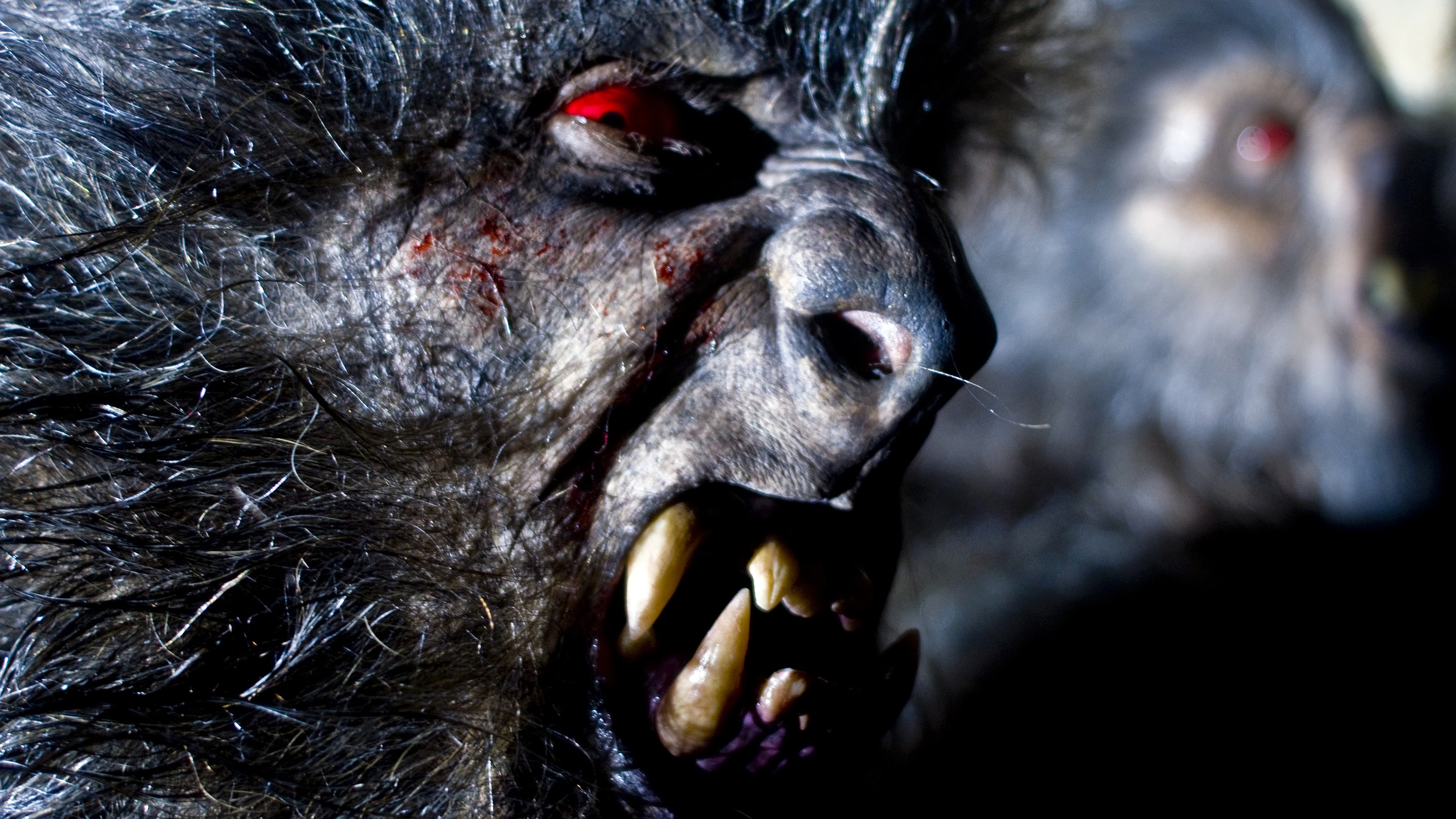 690379 Bild herunterladen filme, game of werewolves die jagd beginnt - Hintergrundbilder und Bildschirmschoner kostenlos