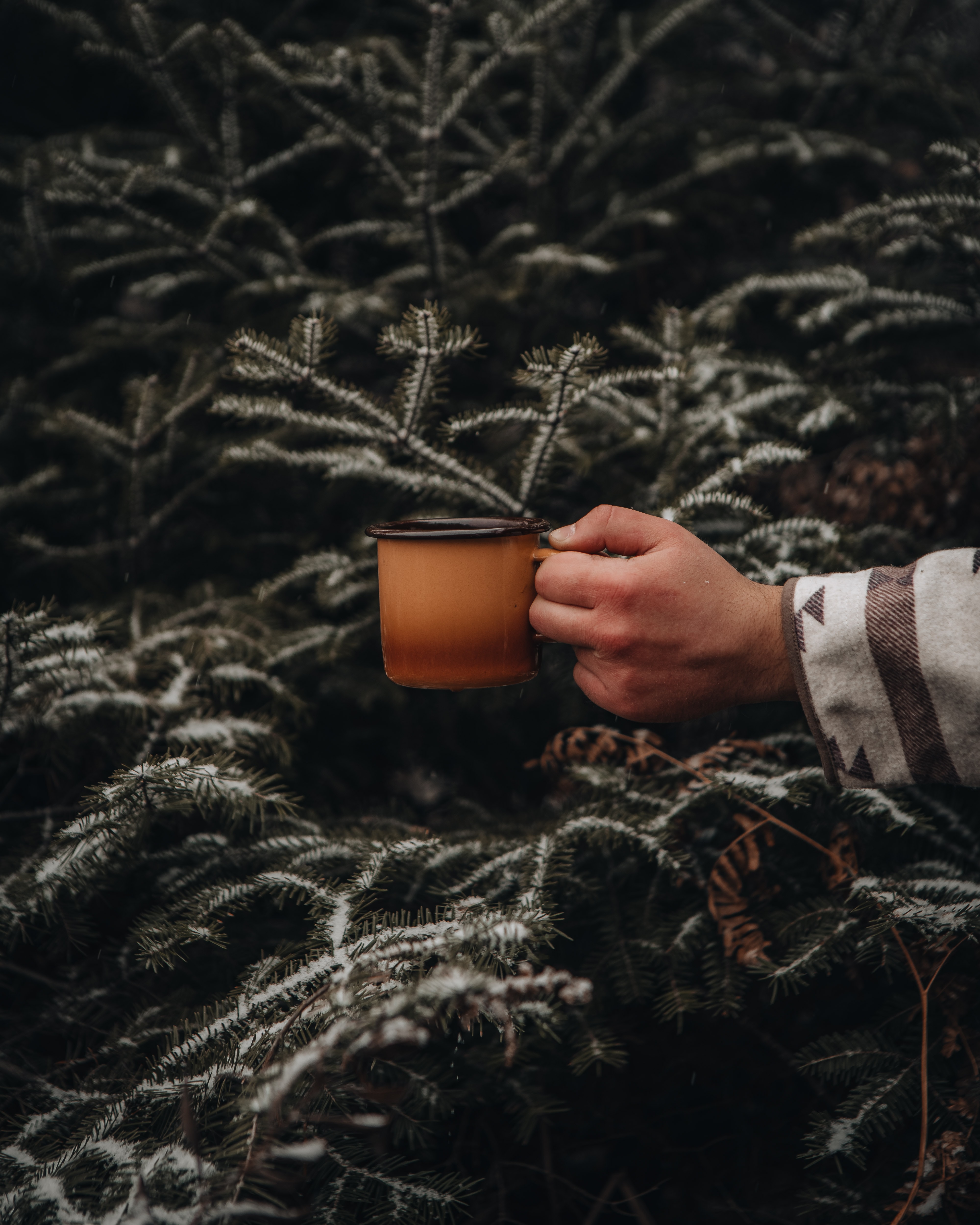 Download mobile wallpaper Fir, Spruce, Miscellanea, Branches, Snow, Miscellaneous, Mug, Hand, Cup for free.