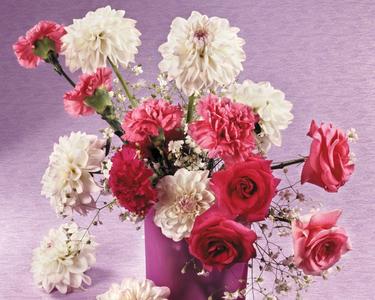 Téléchargez des papiers peints mobile Fleurs, Oeillets, Dahlias, Beauté, Bouquet, Vase, Roses gratuitement.
