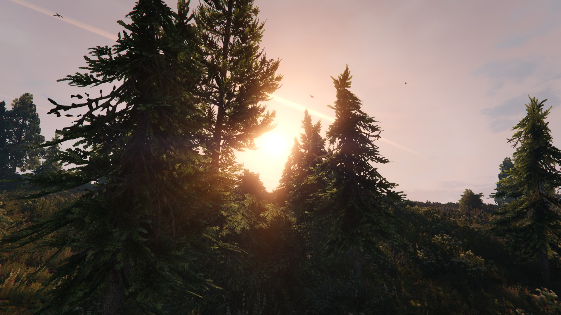 Free download wallpaper Sunset, Video Game, Grand Theft Auto V on your PC desktop