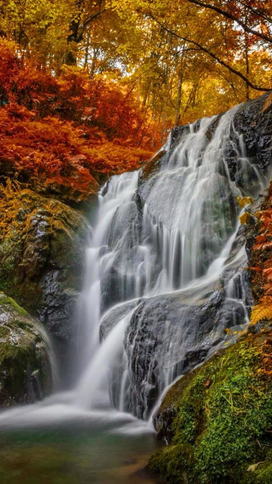 Download mobile wallpaper Nature, Waterfalls, Waterfall, Forest, Tree, Fall, Earth for free.