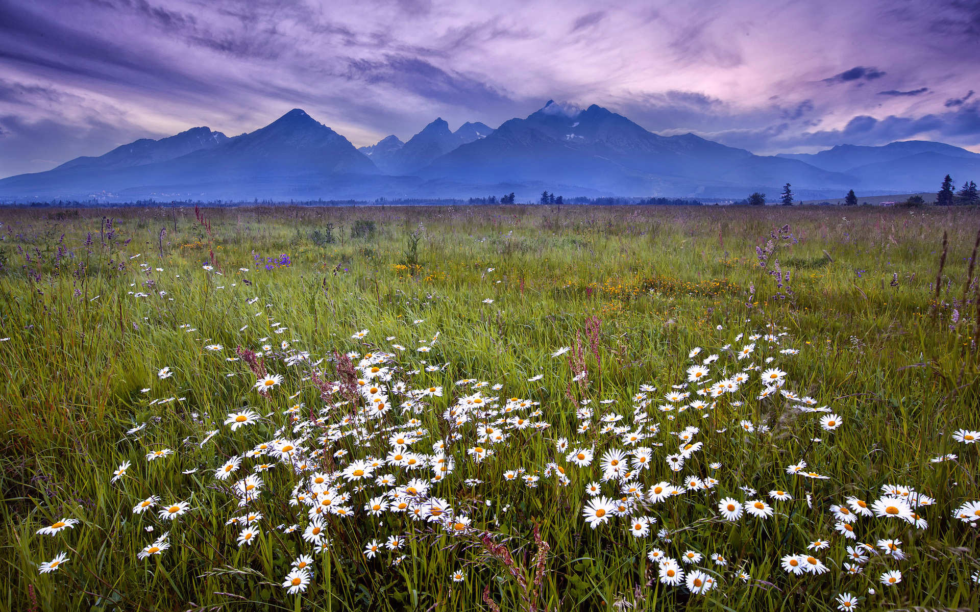 Handy-Wallpaper Landschaft, Erde/natur kostenlos herunterladen.