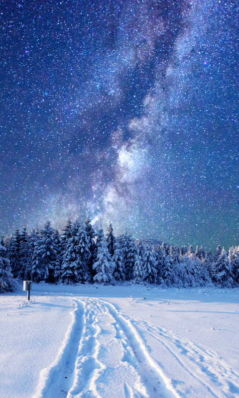 Baixar papel de parede para celular de Inverno, Natureza, Céu, Estrelas, Neve, Floresta, Via Láctea, Ficção Científica gratuito.