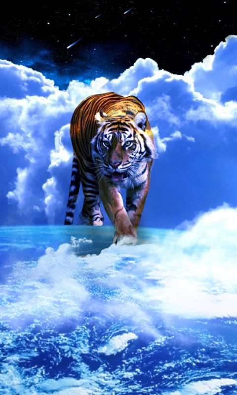 Download mobile wallpaper Cats, Tiger, Animal for free.