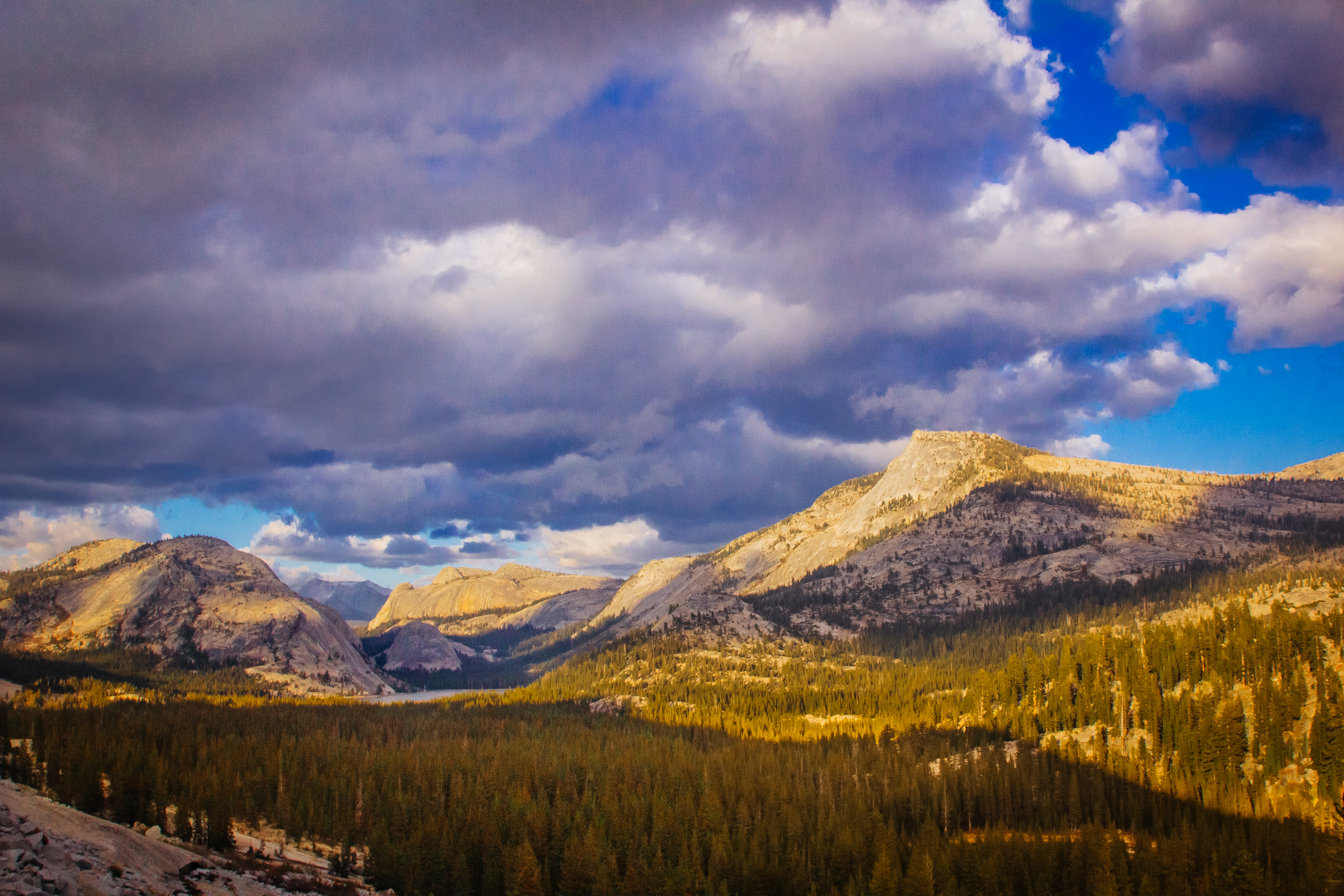 Descarga gratis la imagen Paisaje, Naturaleza, Montaña, Bosque, Nube, Tierra/naturaleza en el escritorio de tu PC