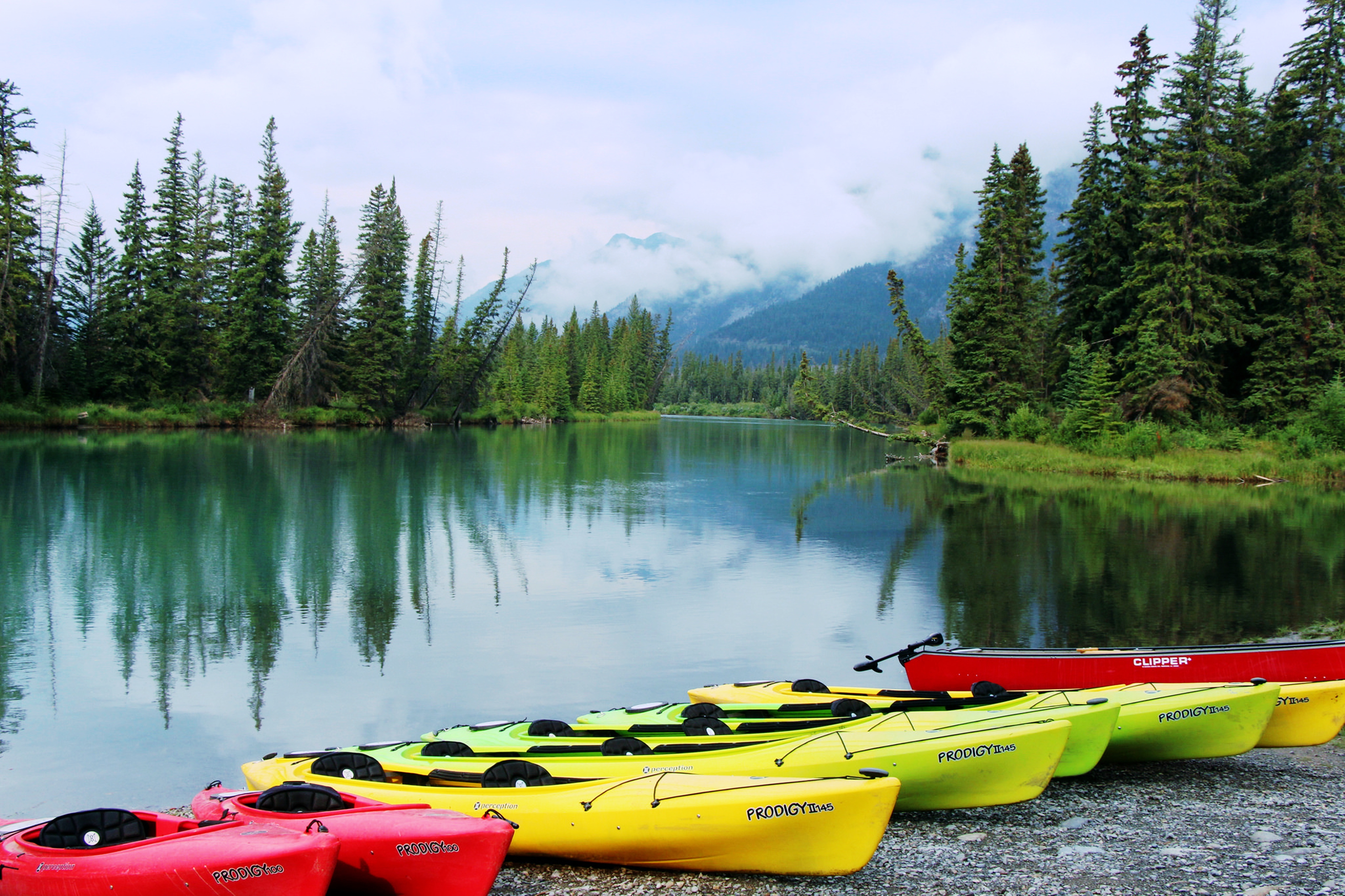 無料モバイル壁紙ボート, 湖, 写真撮影, 森, 自然, 木, 風景をダウンロードします。