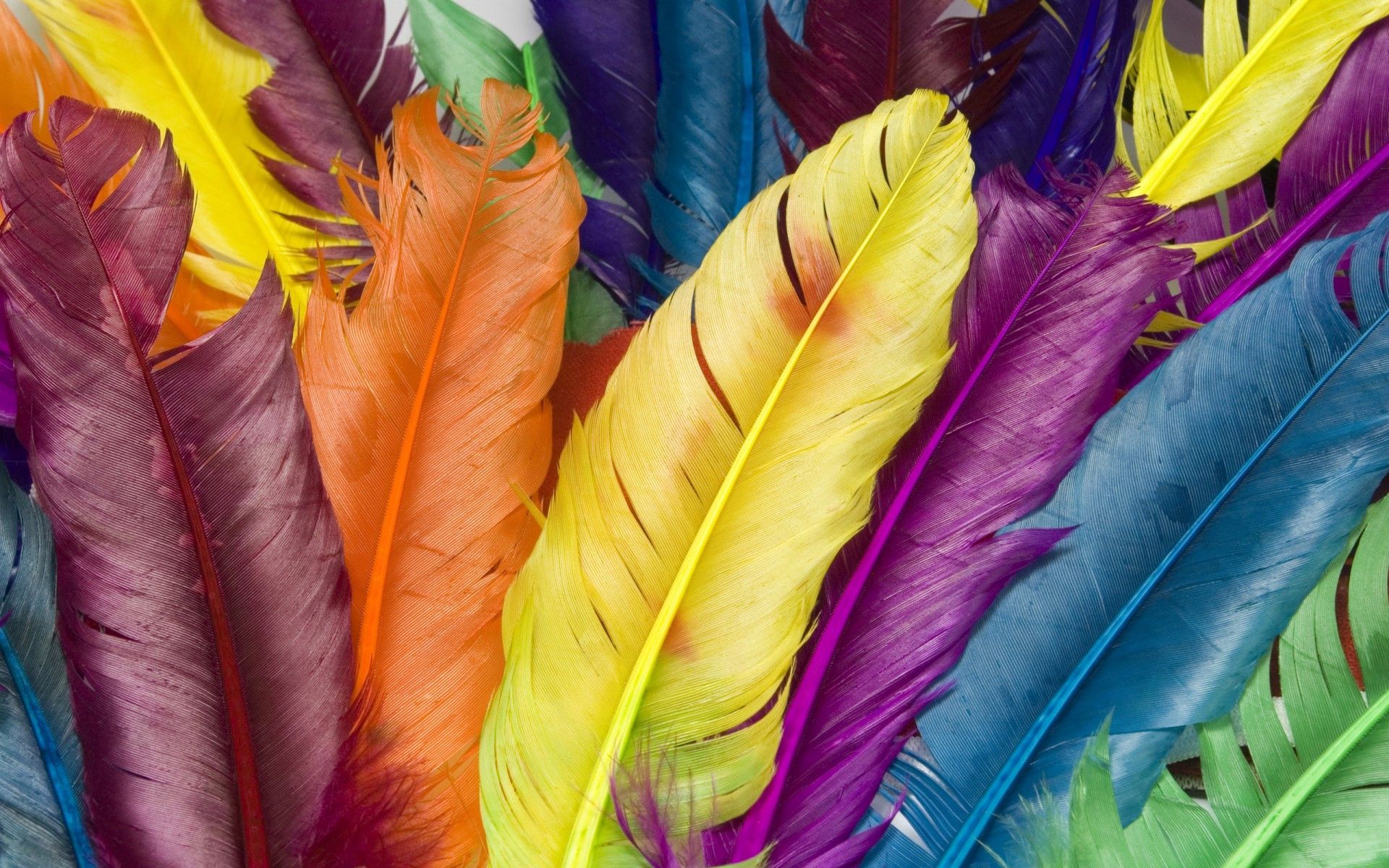 102230 скачать обои перья, яркий, разное, разноцветный, красочный - заставки и картинки бесплатно