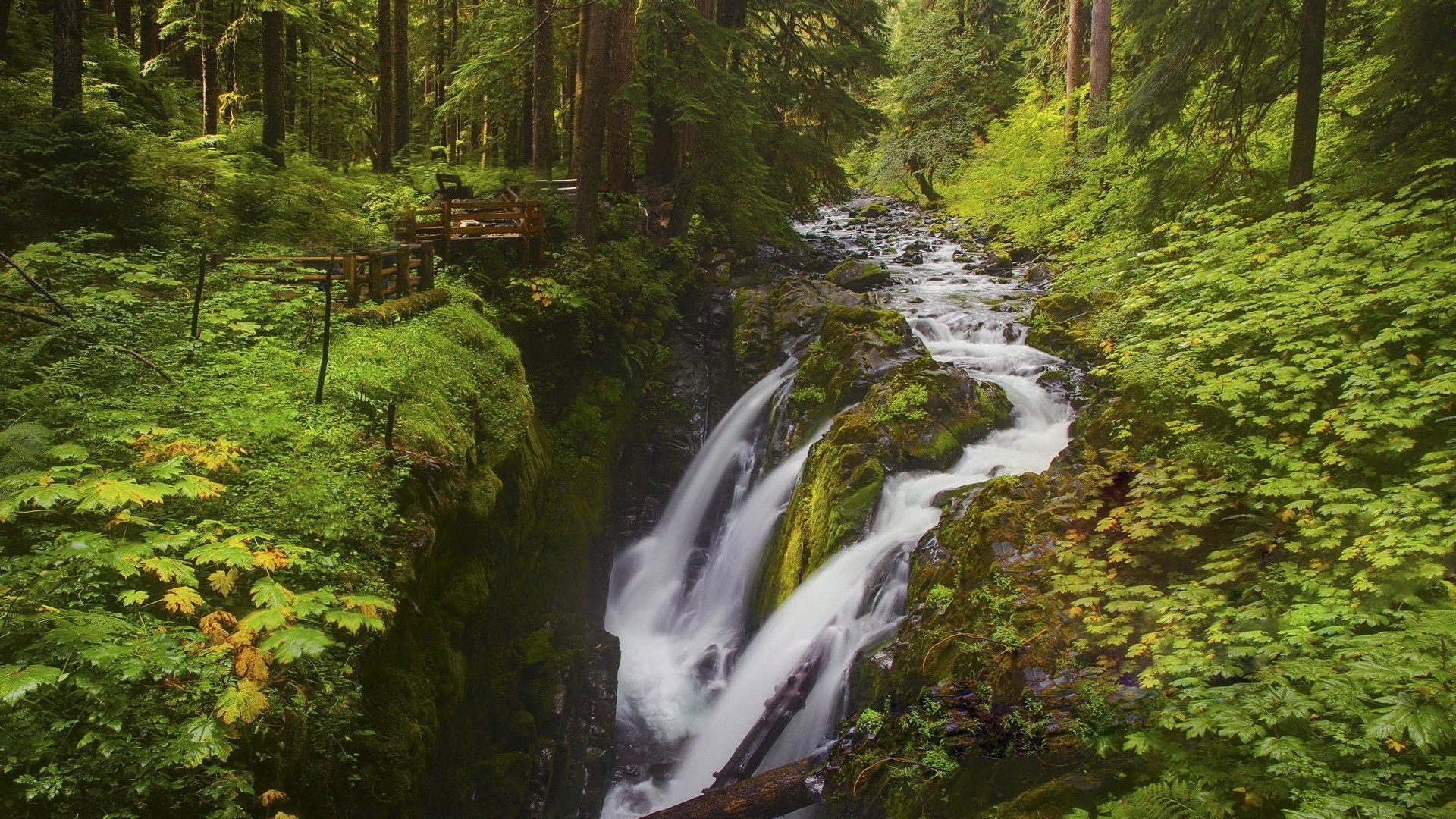 Скачать картинку Замедленная Киносъёмка, Зеленый, Водопад, Водопады, Лес, Дерево, Земля/природа в телефон бесплатно.