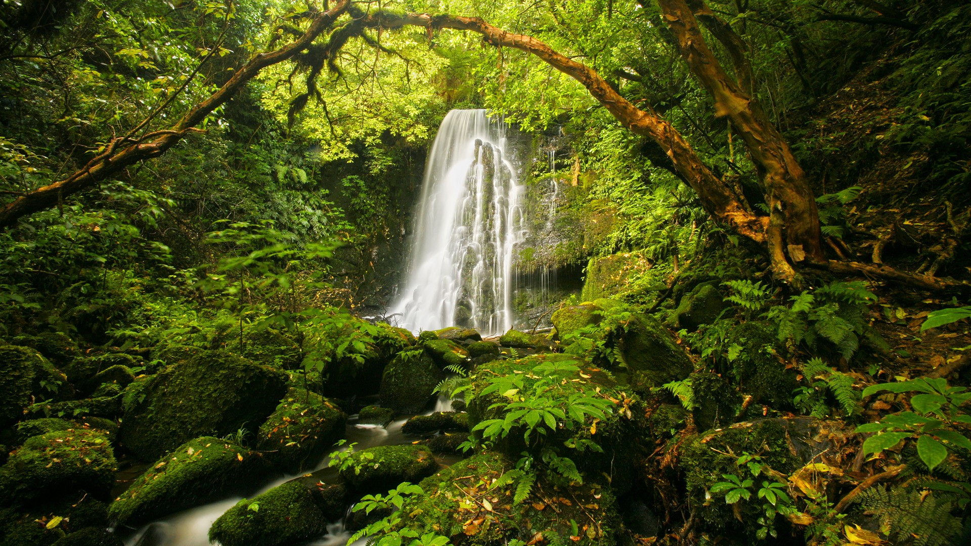 Baixe gratuitamente a imagem Natureza, Cachoeiras, Floresta, Terra/natureza, Cachoeira na área de trabalho do seu PC